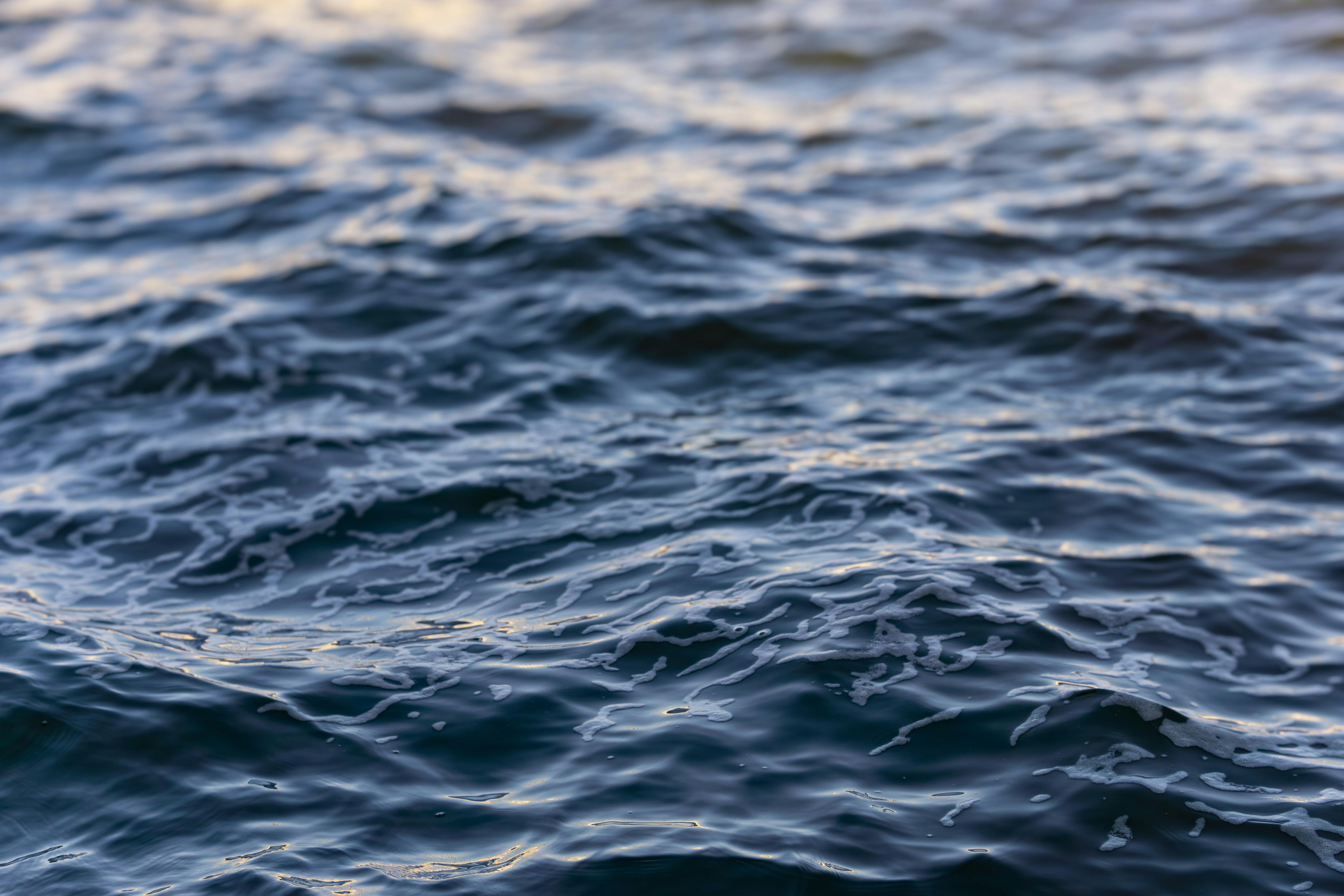 Photo by smartisan2792