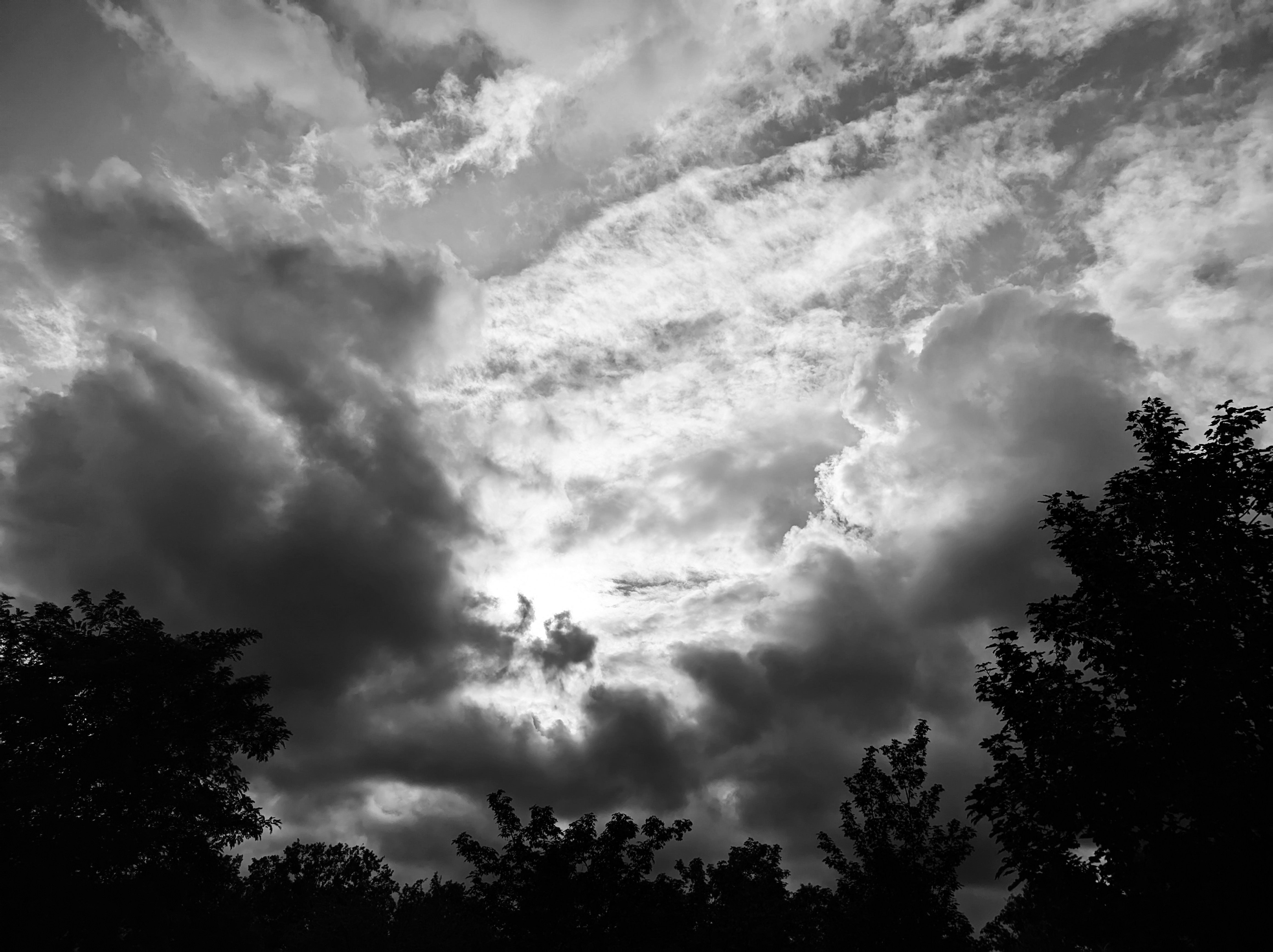 Photo by positivetourettes