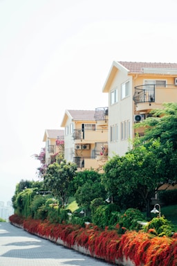 A row of houses on a hill with trees and bushes