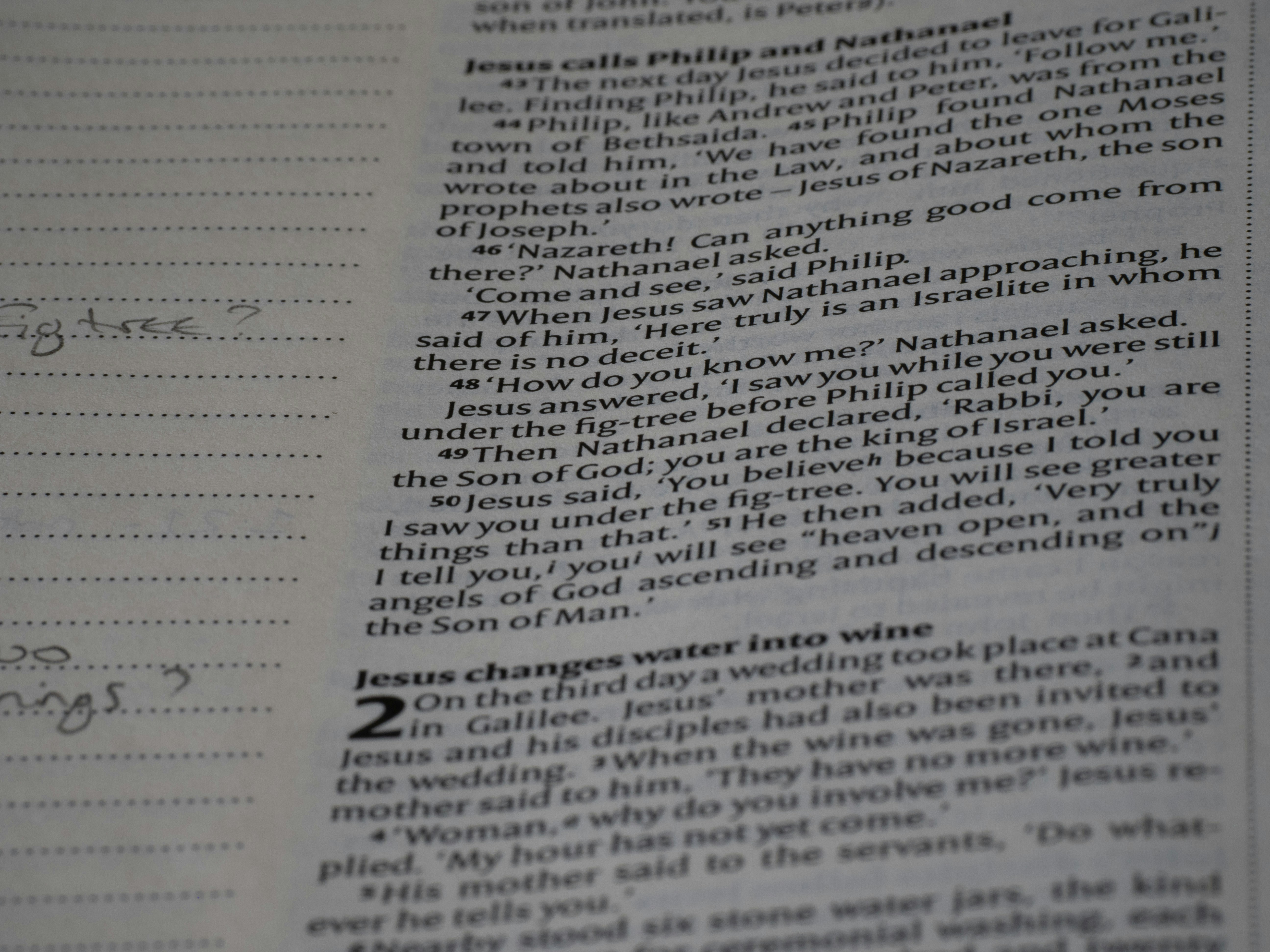 Photo by brett_jordan