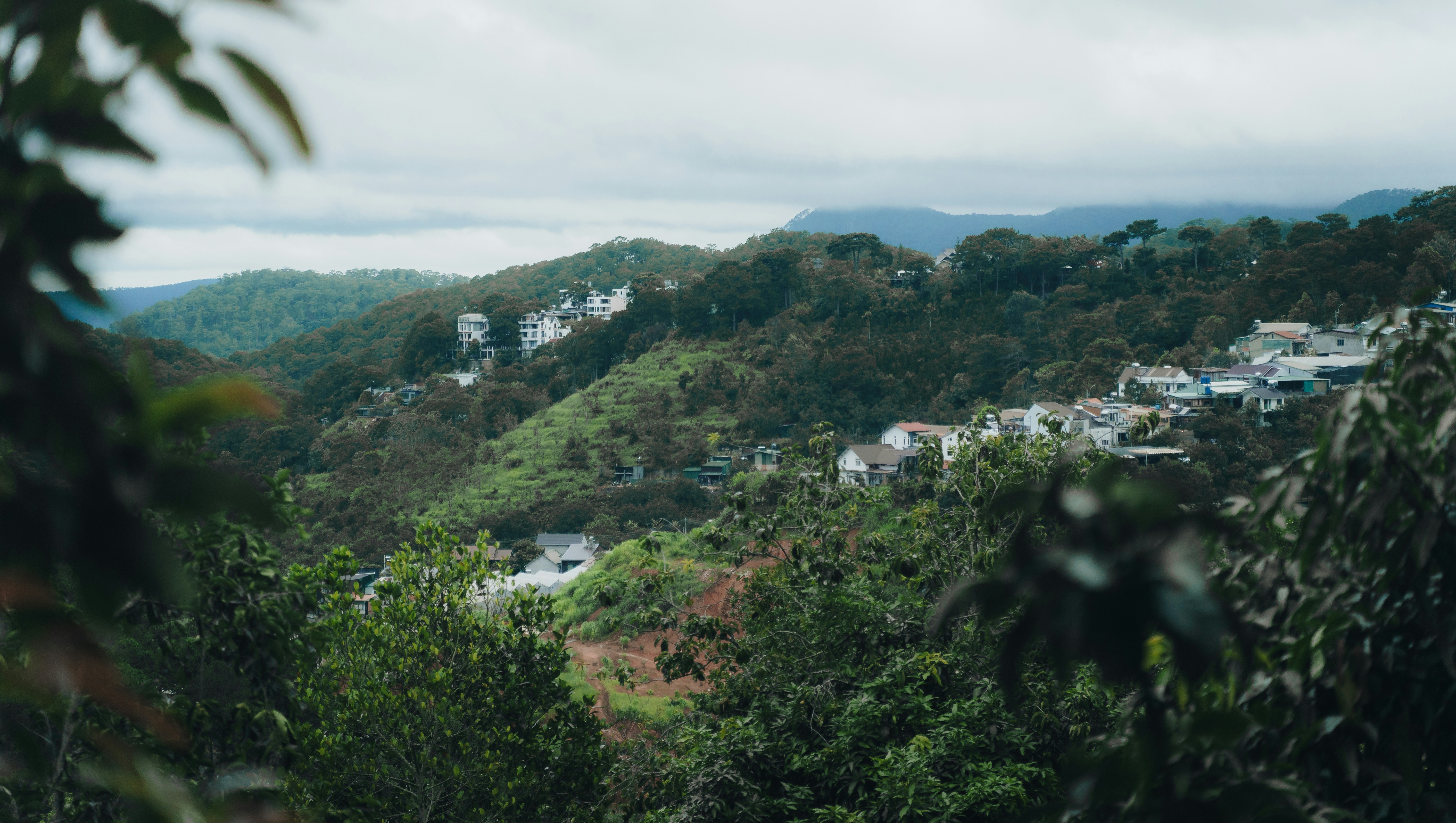 Photo by chuchu123456