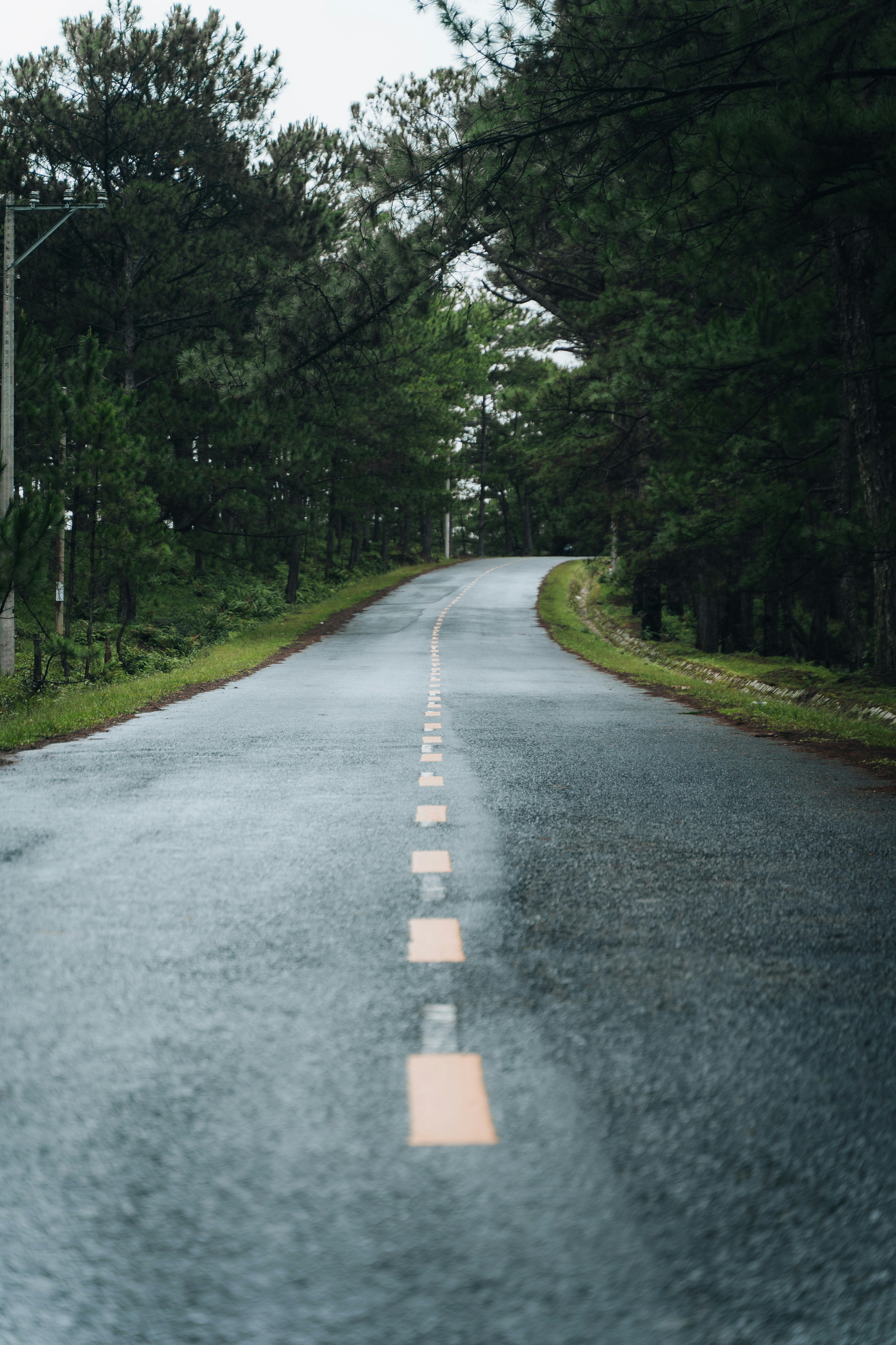 Photo by chuchu123456