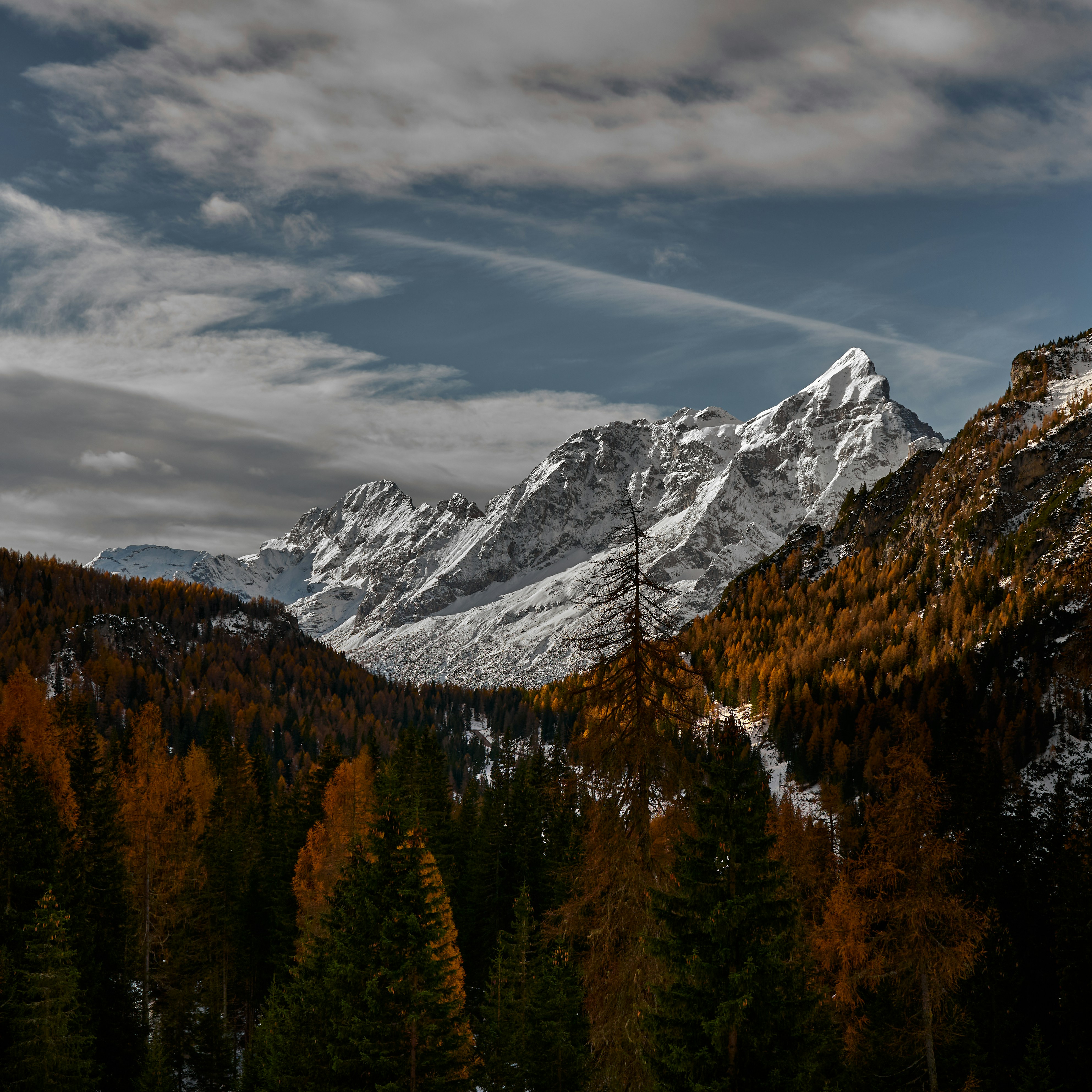 Photo by alessiofurlan