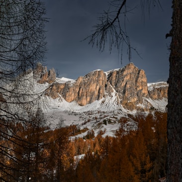 A snow covered mountain with trees in the foreground