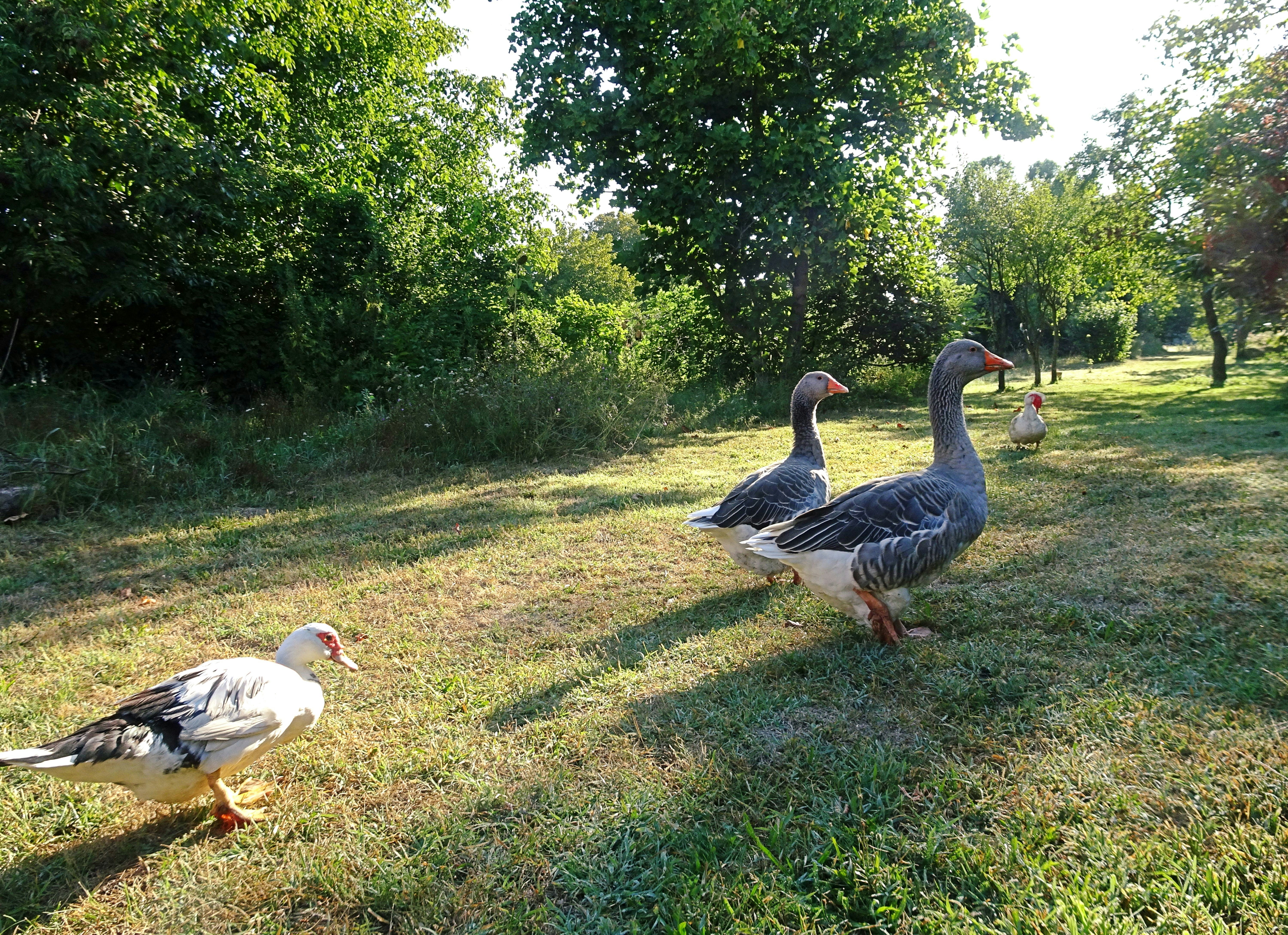 Inside Look: John Elkington's Unexpected Minimalist Living Tips