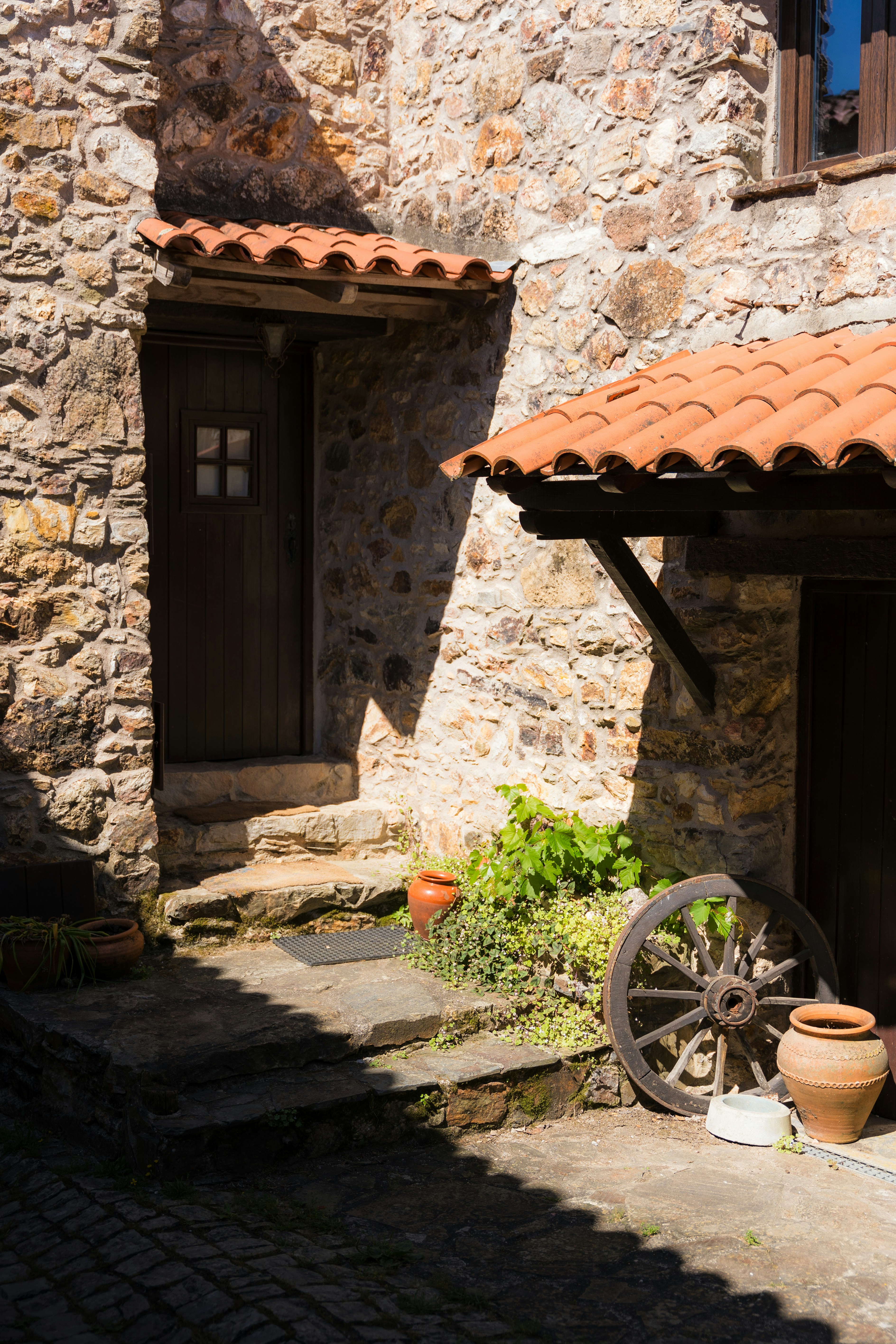 Photo by tiago_f_ferreira