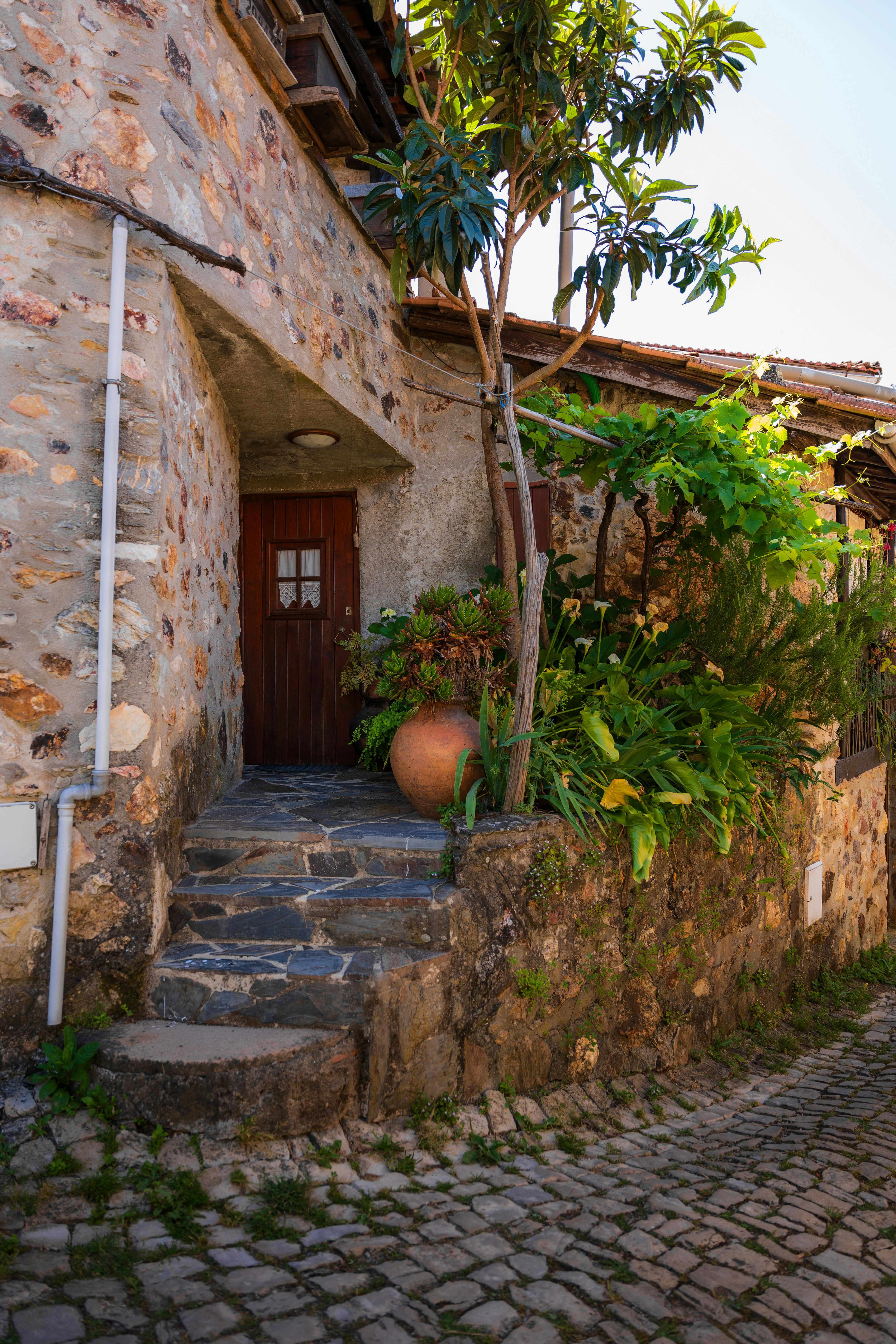 Photo by tiago_f_ferreira