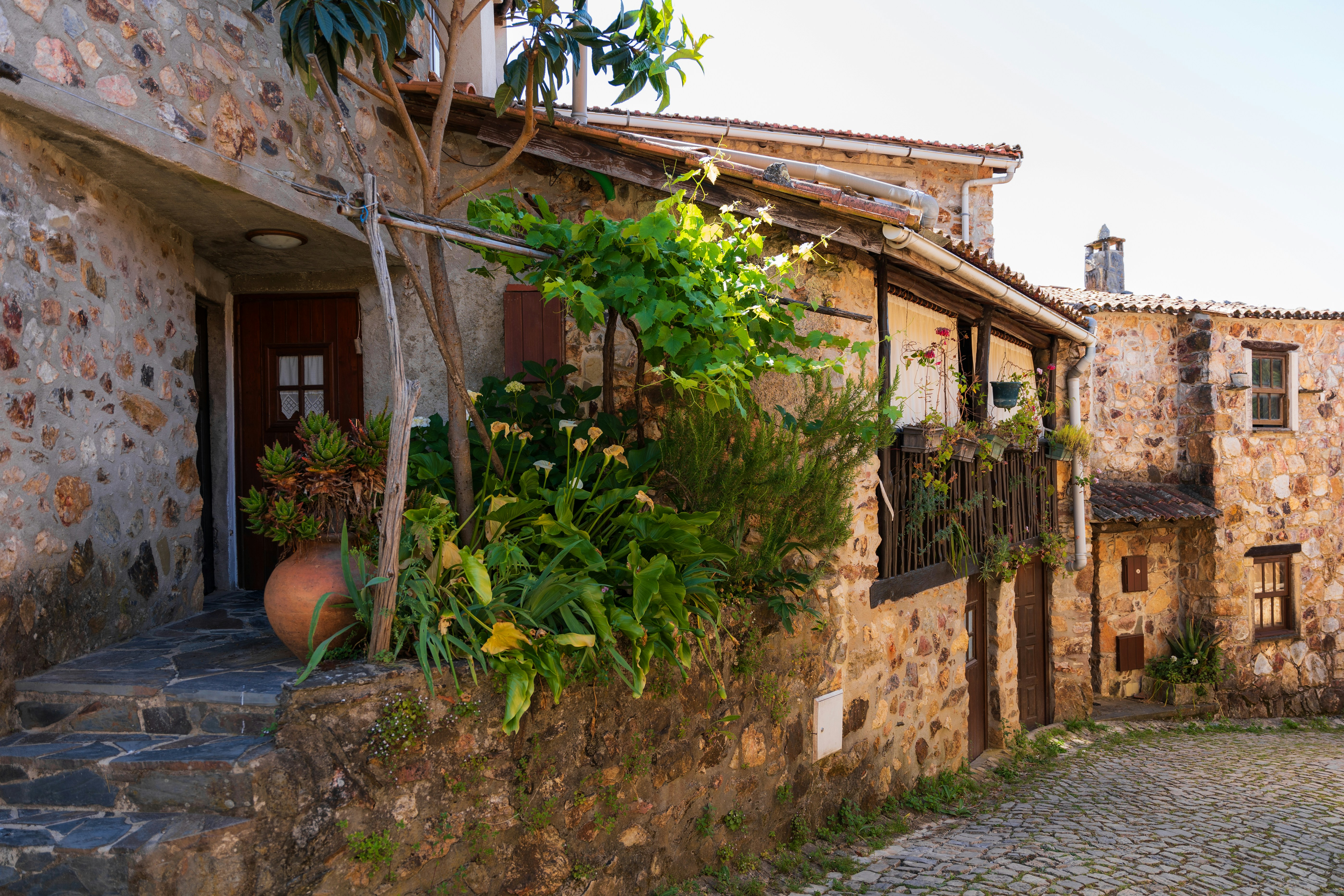 Photo by tiago_f_ferreira