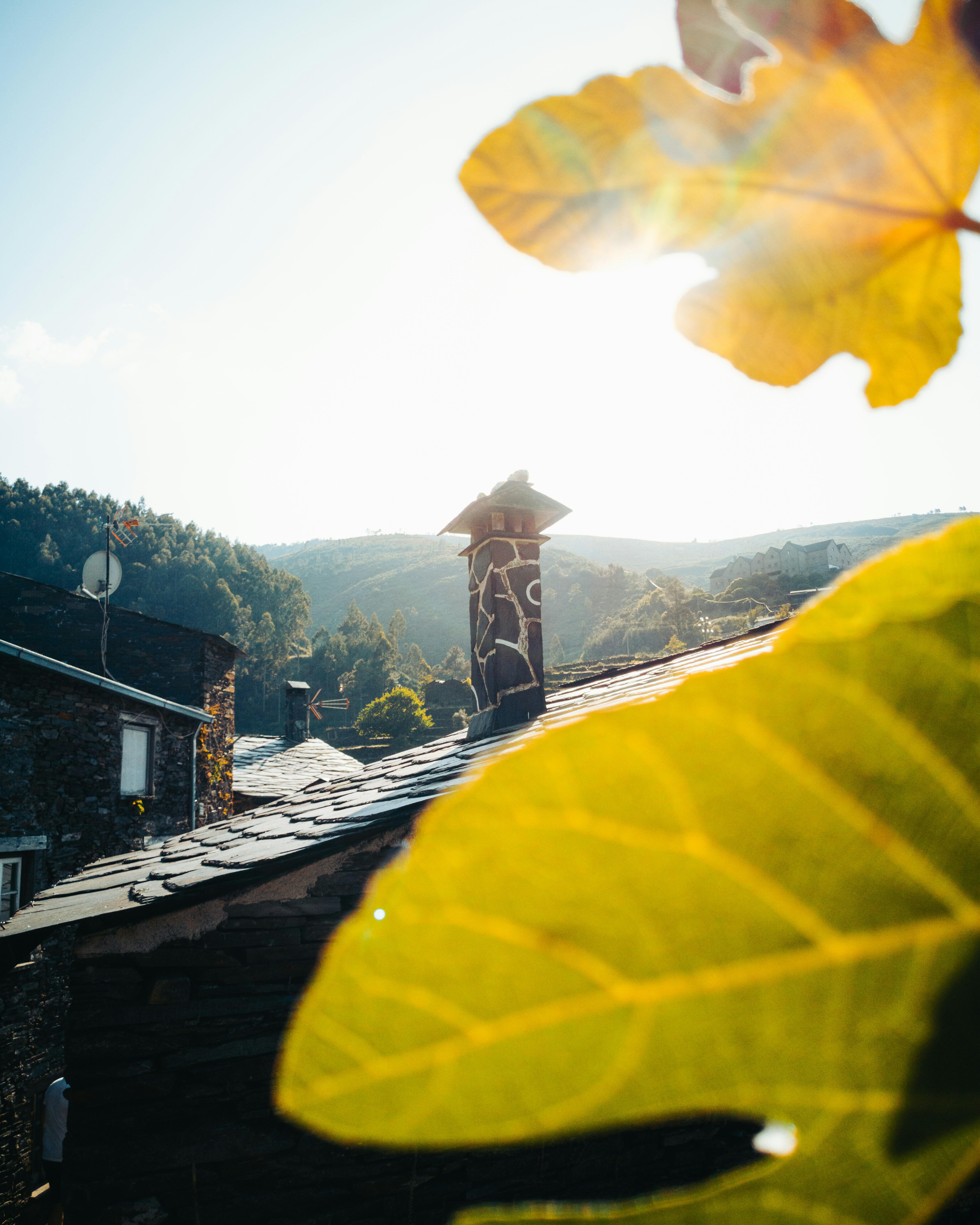 Photo by tiago_f_ferreira