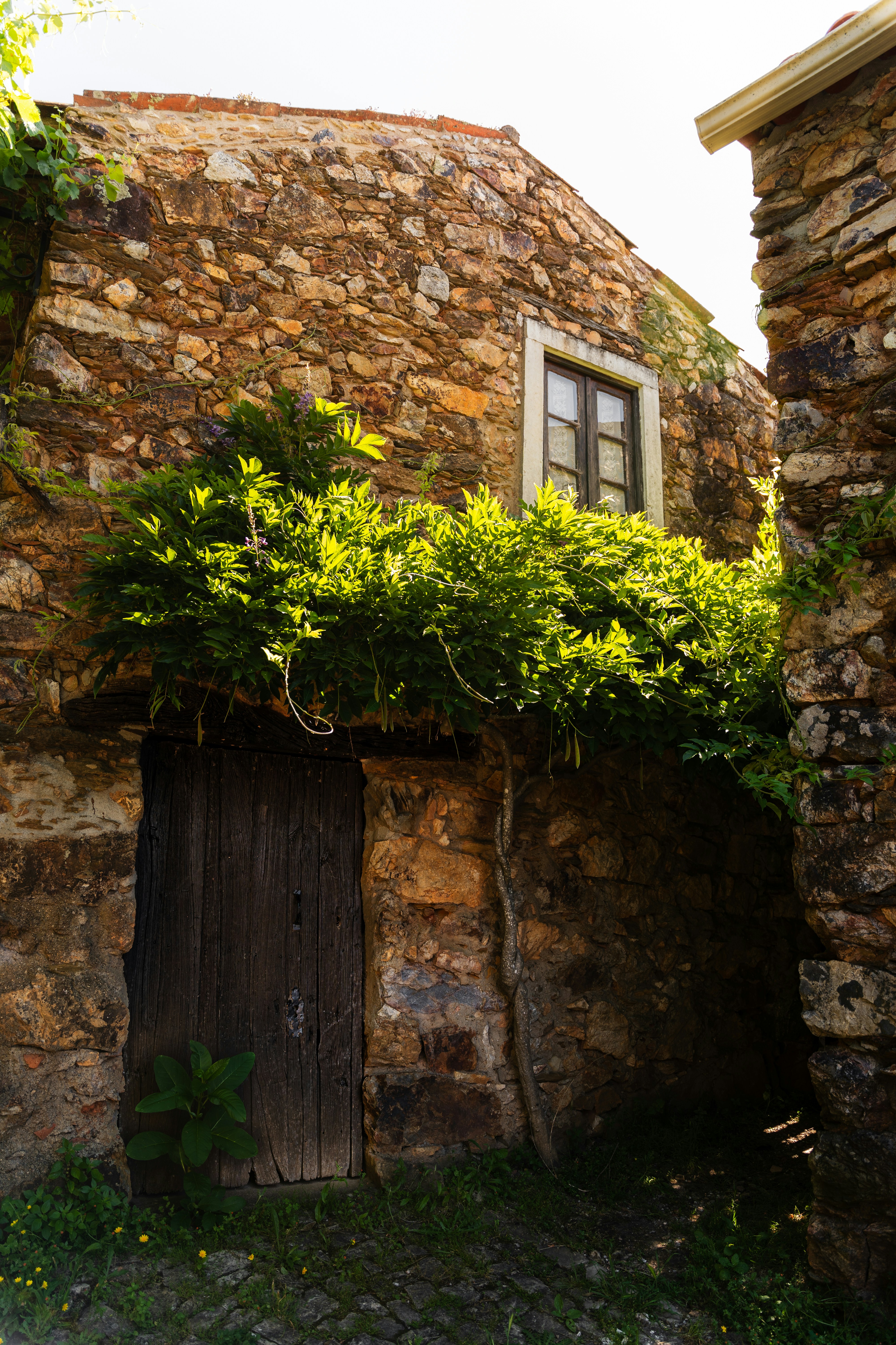 Photo by tiago_f_ferreira