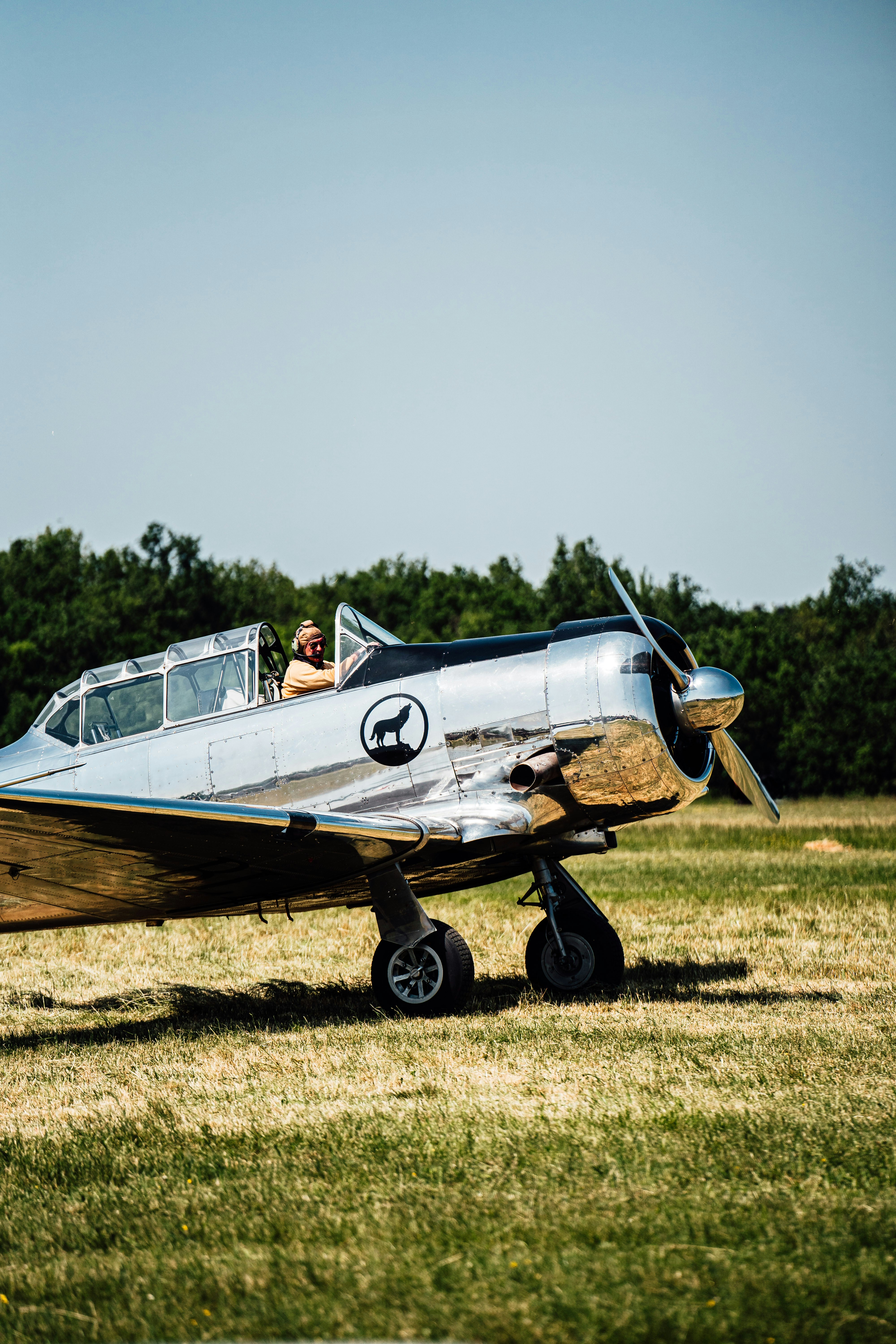 Photo by benjamin_photo_lab