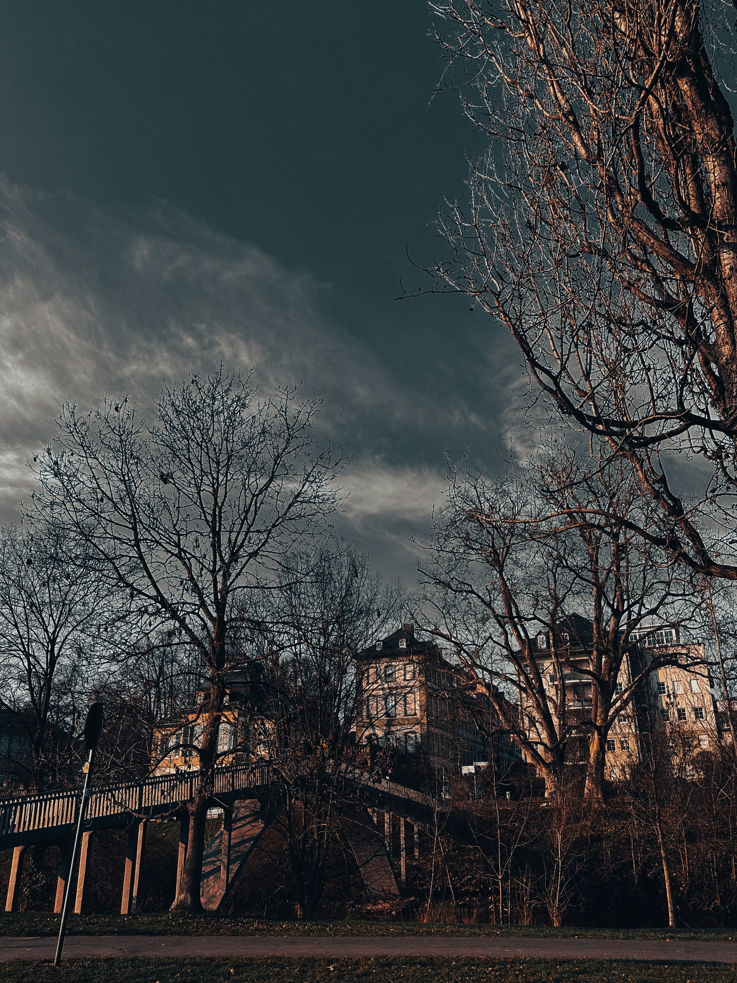 Photo by nelemson