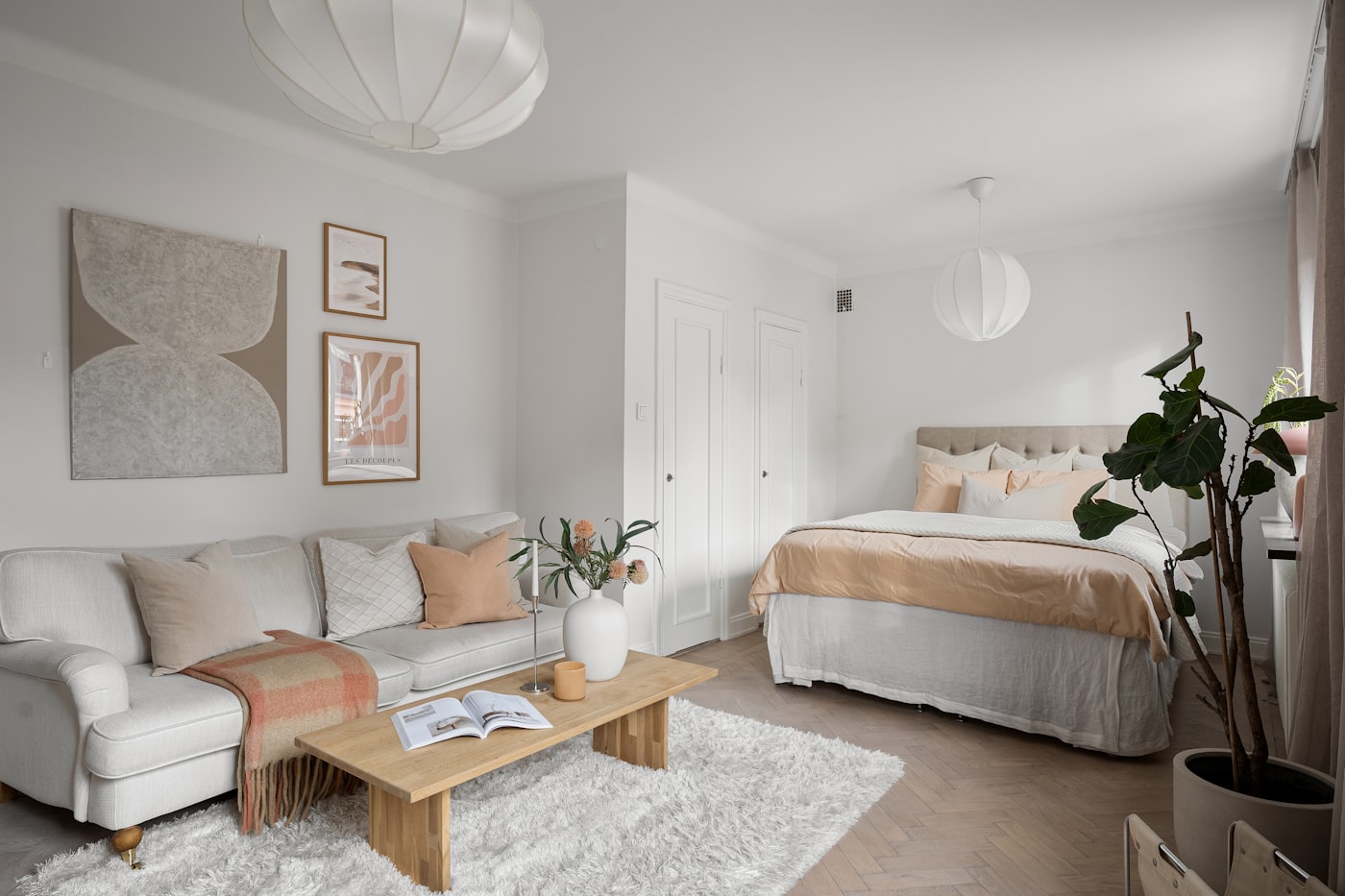 Cozy 400 square foot studio apartment for a couple with sofa and bed sharing one open room