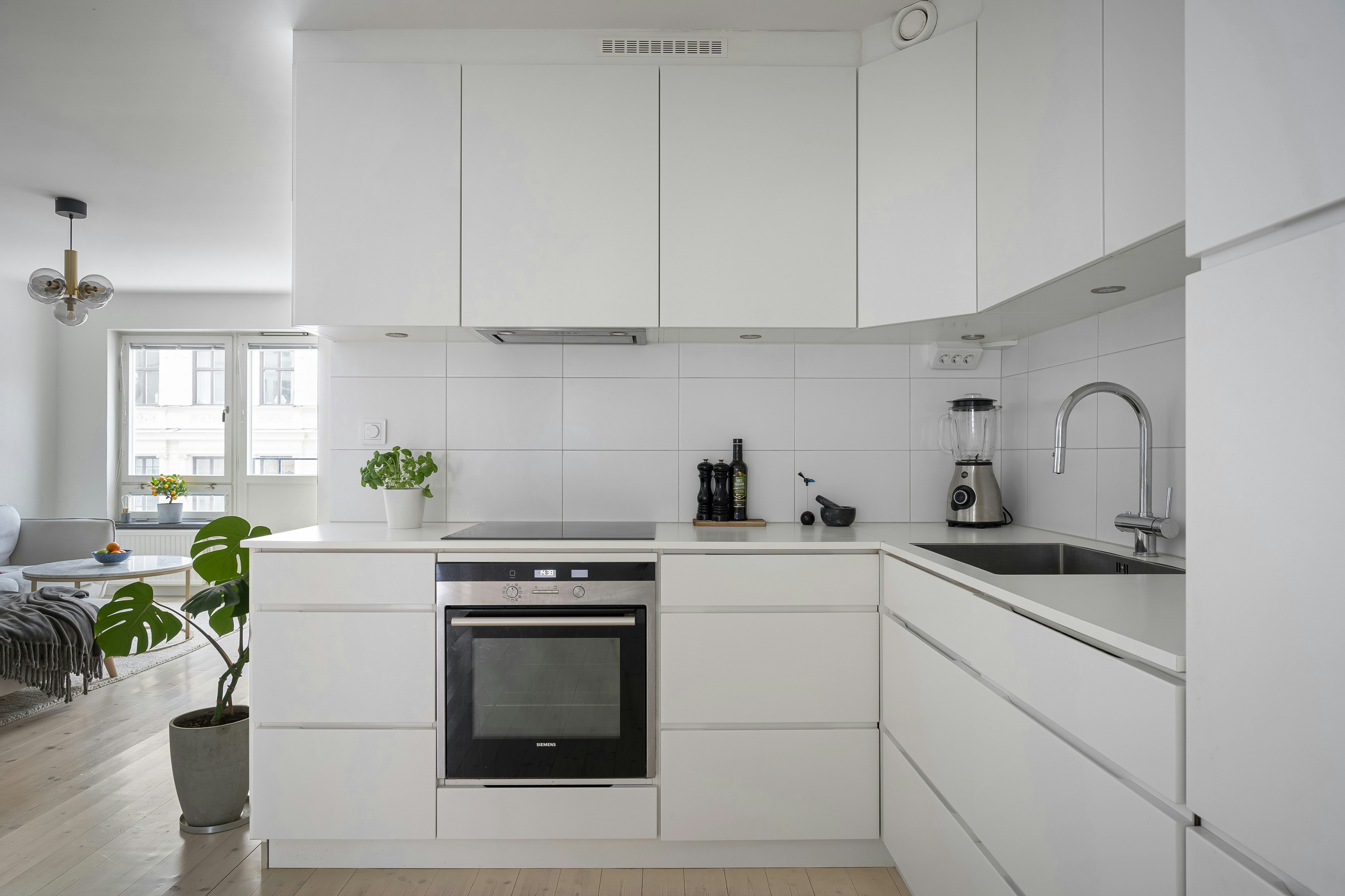 Photo by alextyson195