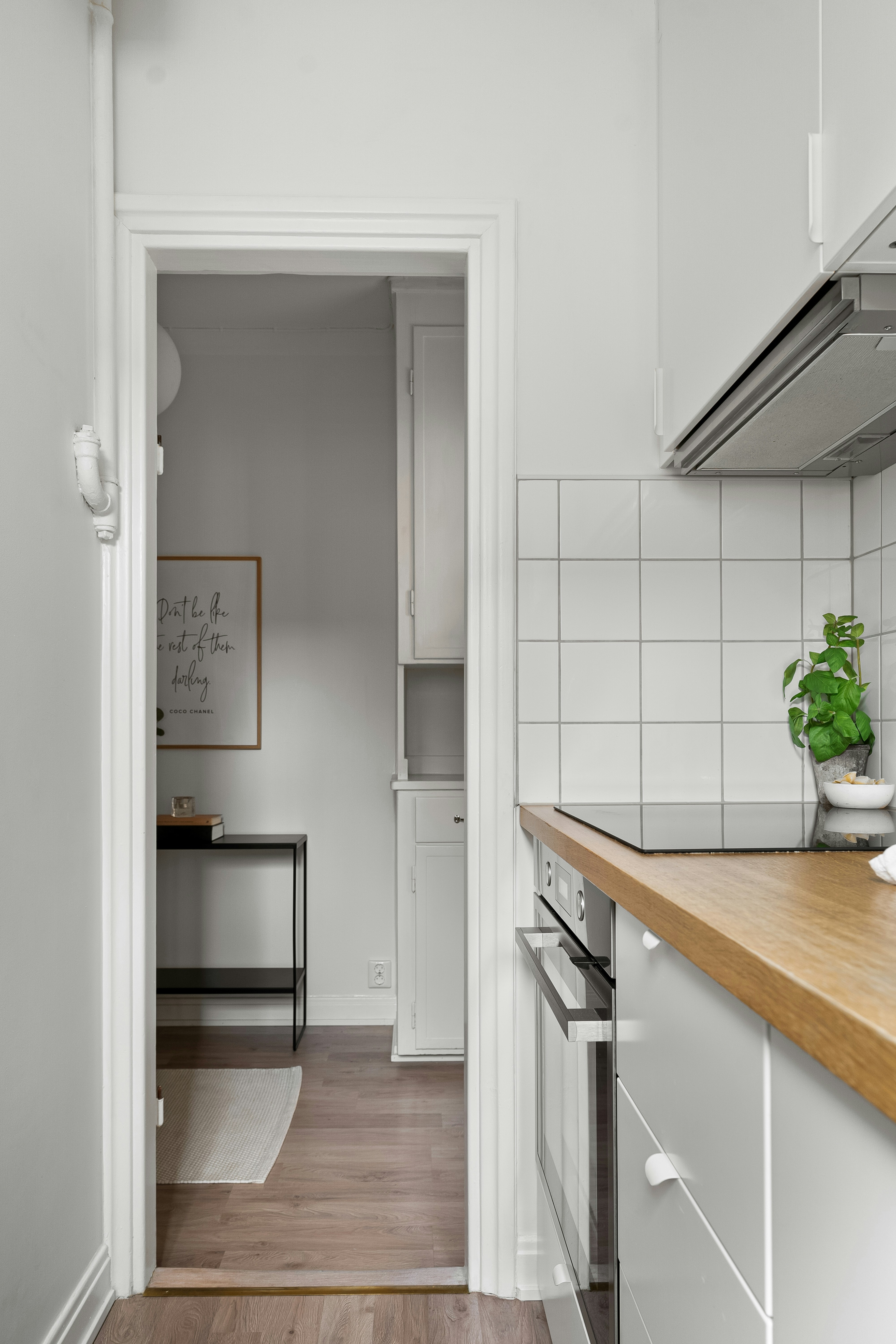 Photo by alextyson195