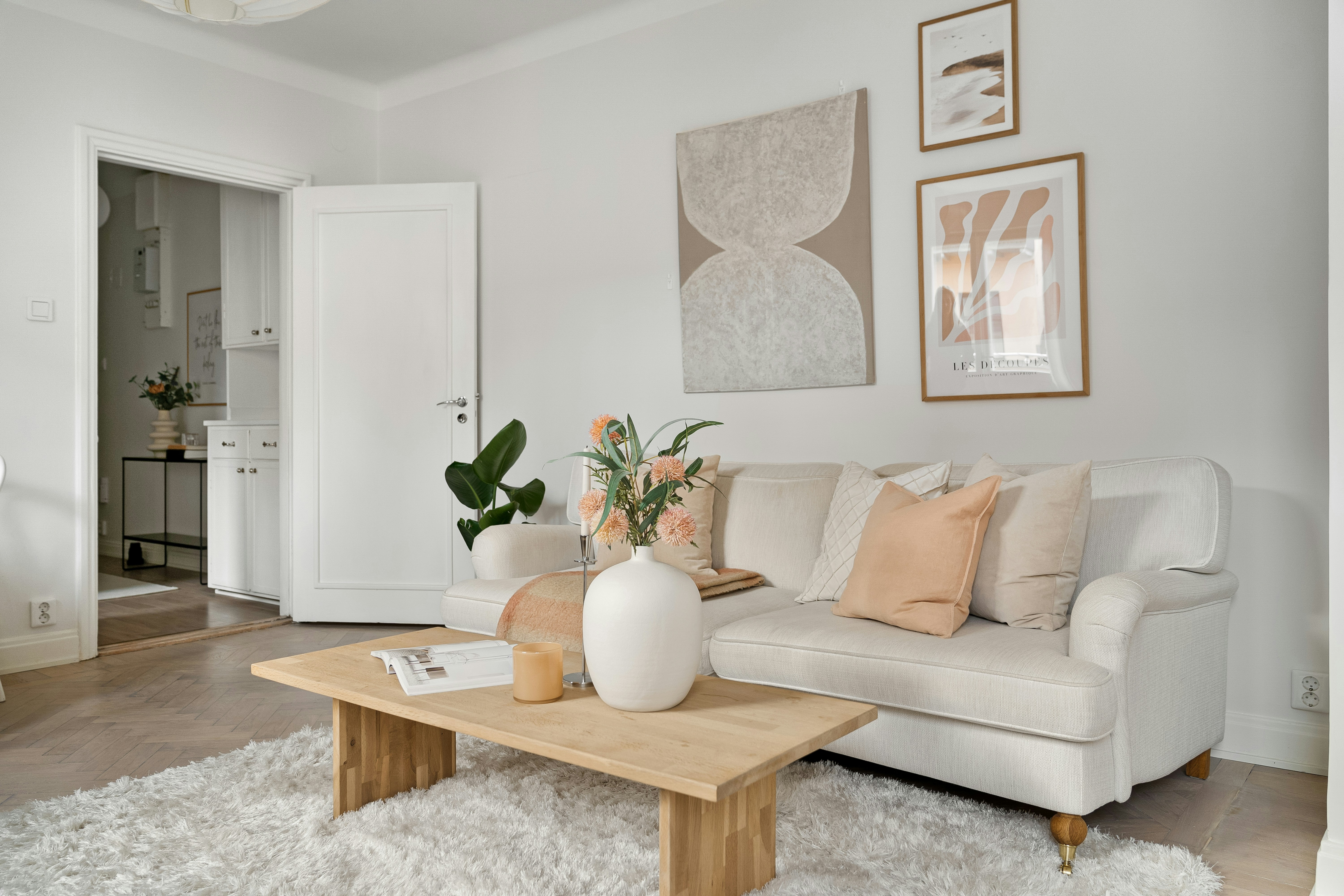 A living room filled with furniture and a white rug