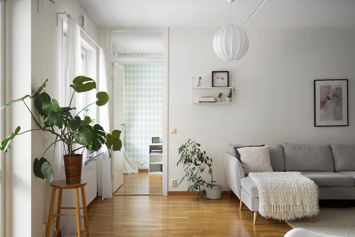 A modest living room with warm wood flooring, a gray sofa, plants, and natural light.