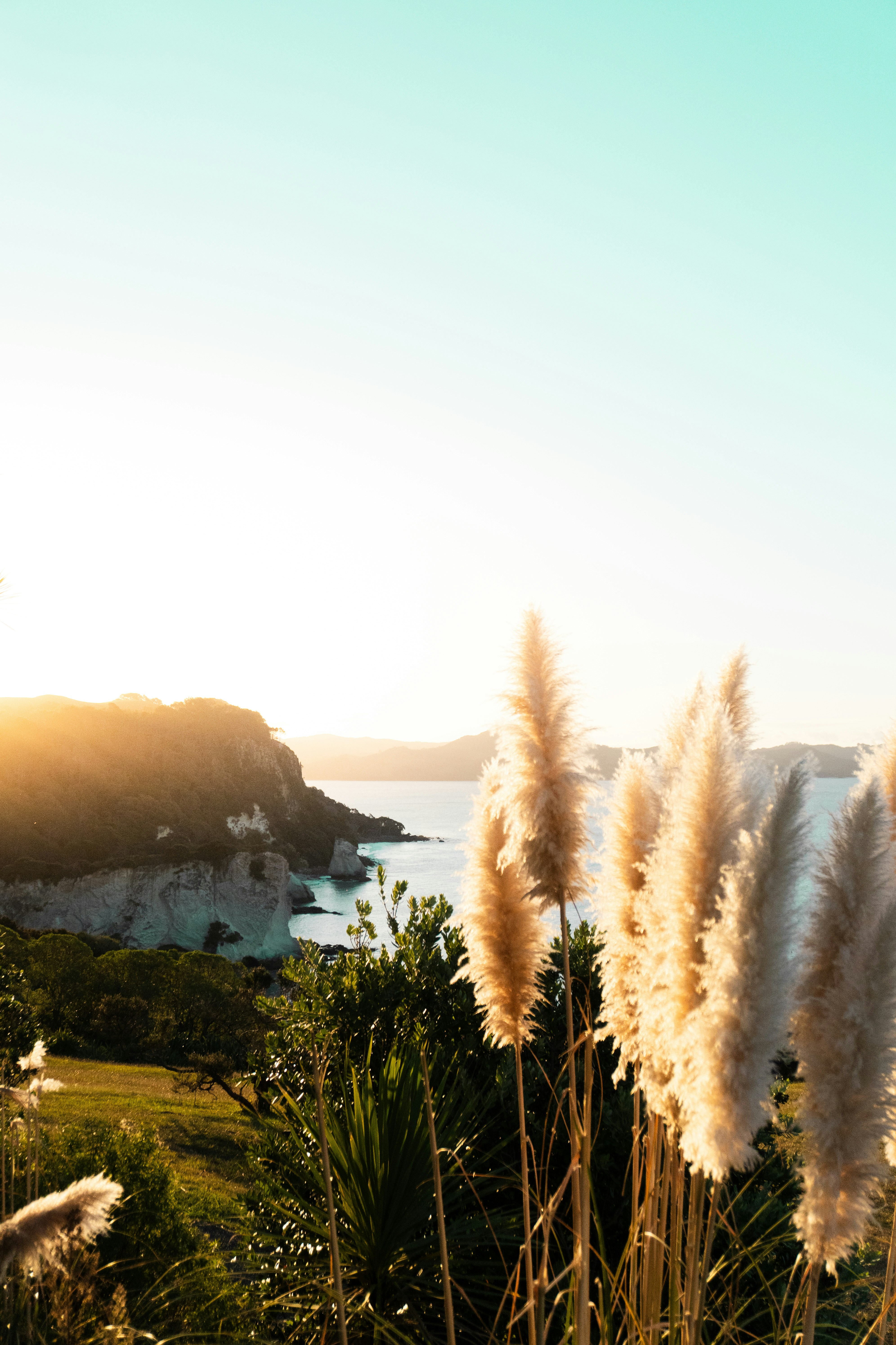 Una vista de un cuerpo de agua desde una colina