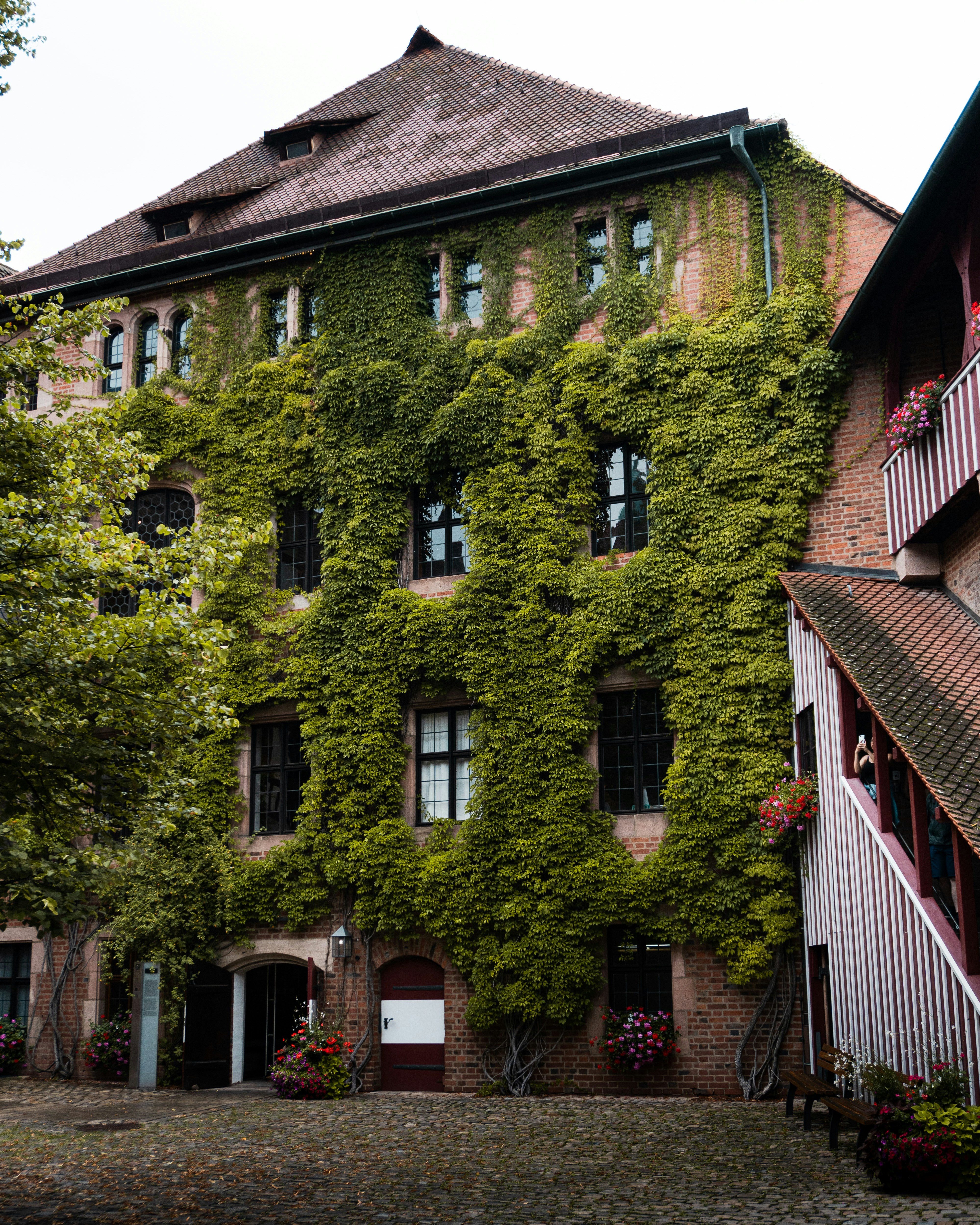 Un edificio cubierto de enredaderas y flores junto a los árboles