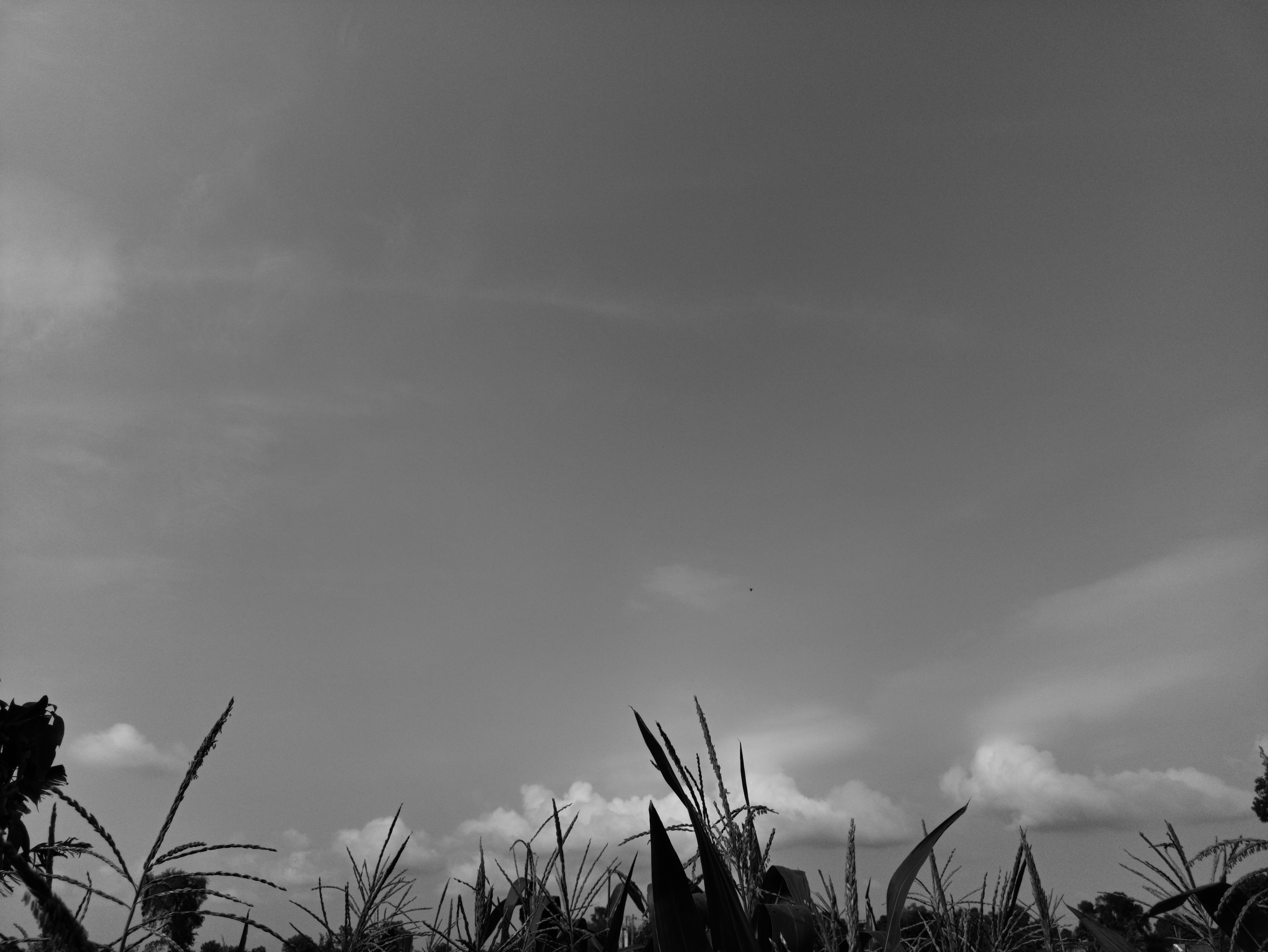 Photo by boywidlens_