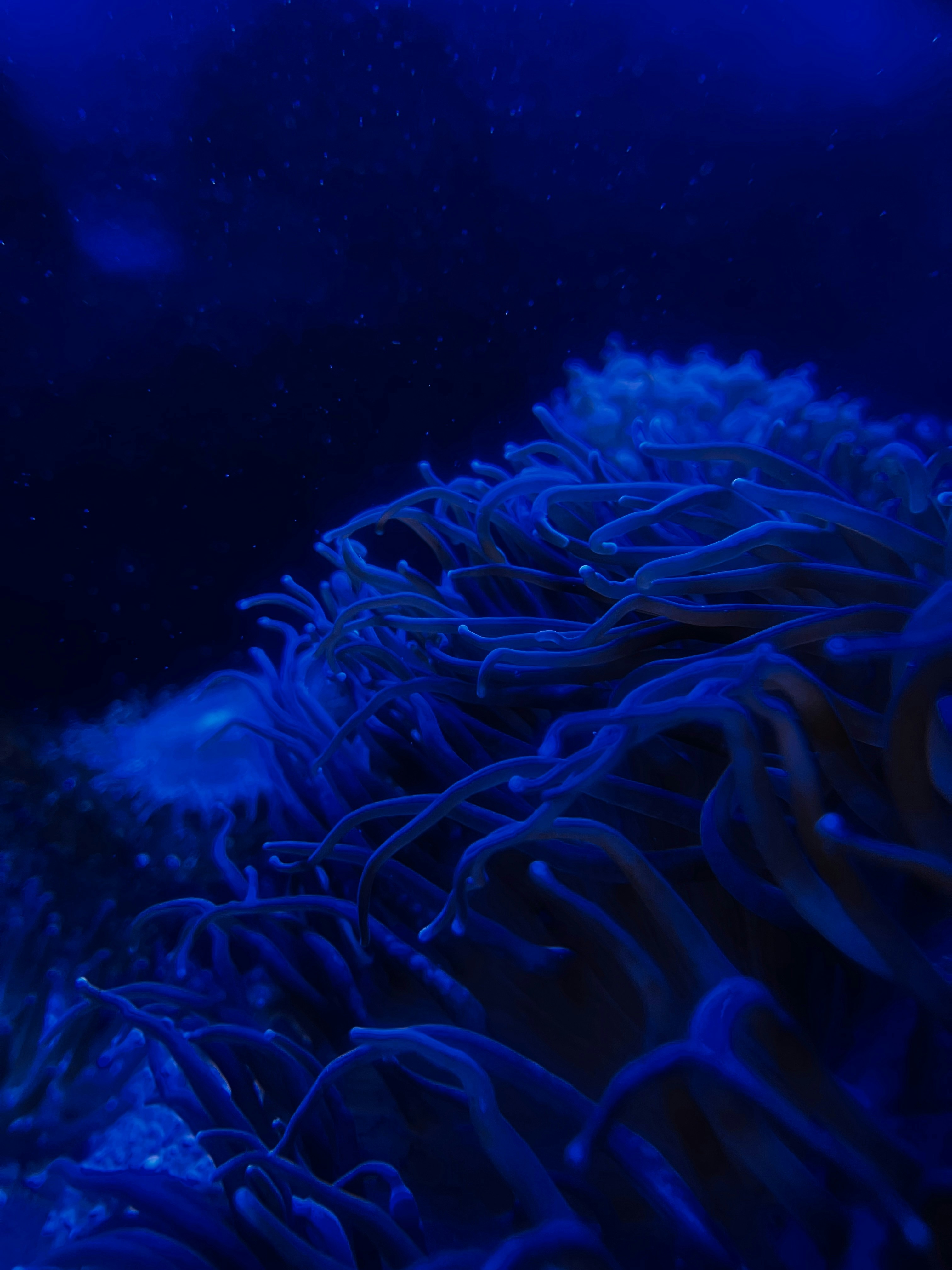 Photo by yusufkaanusta