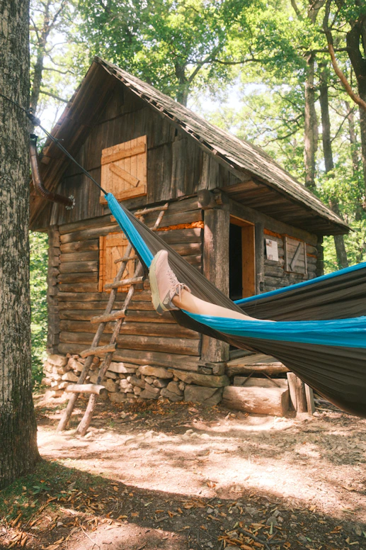 A hammock hanging from a tree in front of a cabin