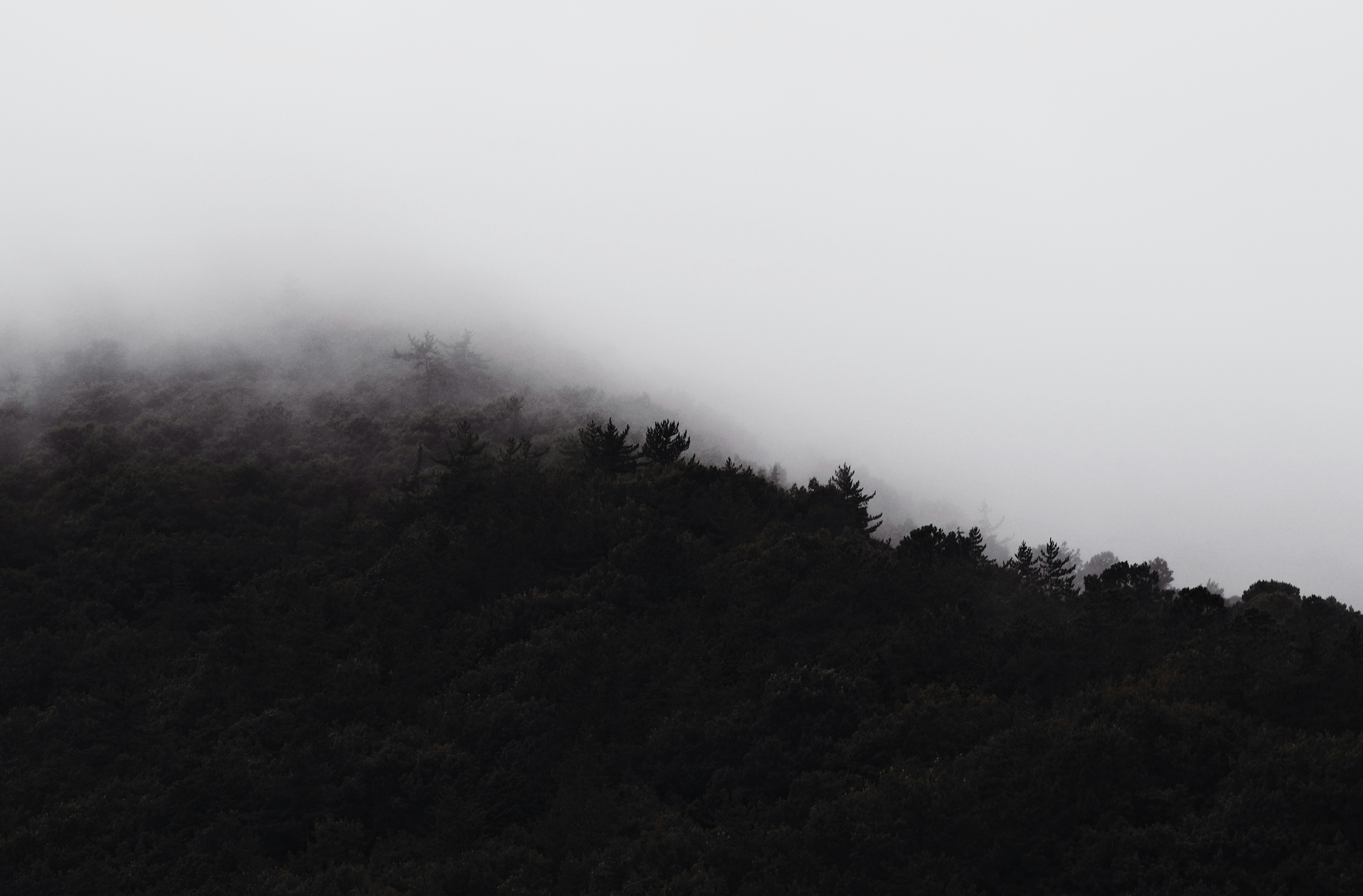 Photo by amihailoven