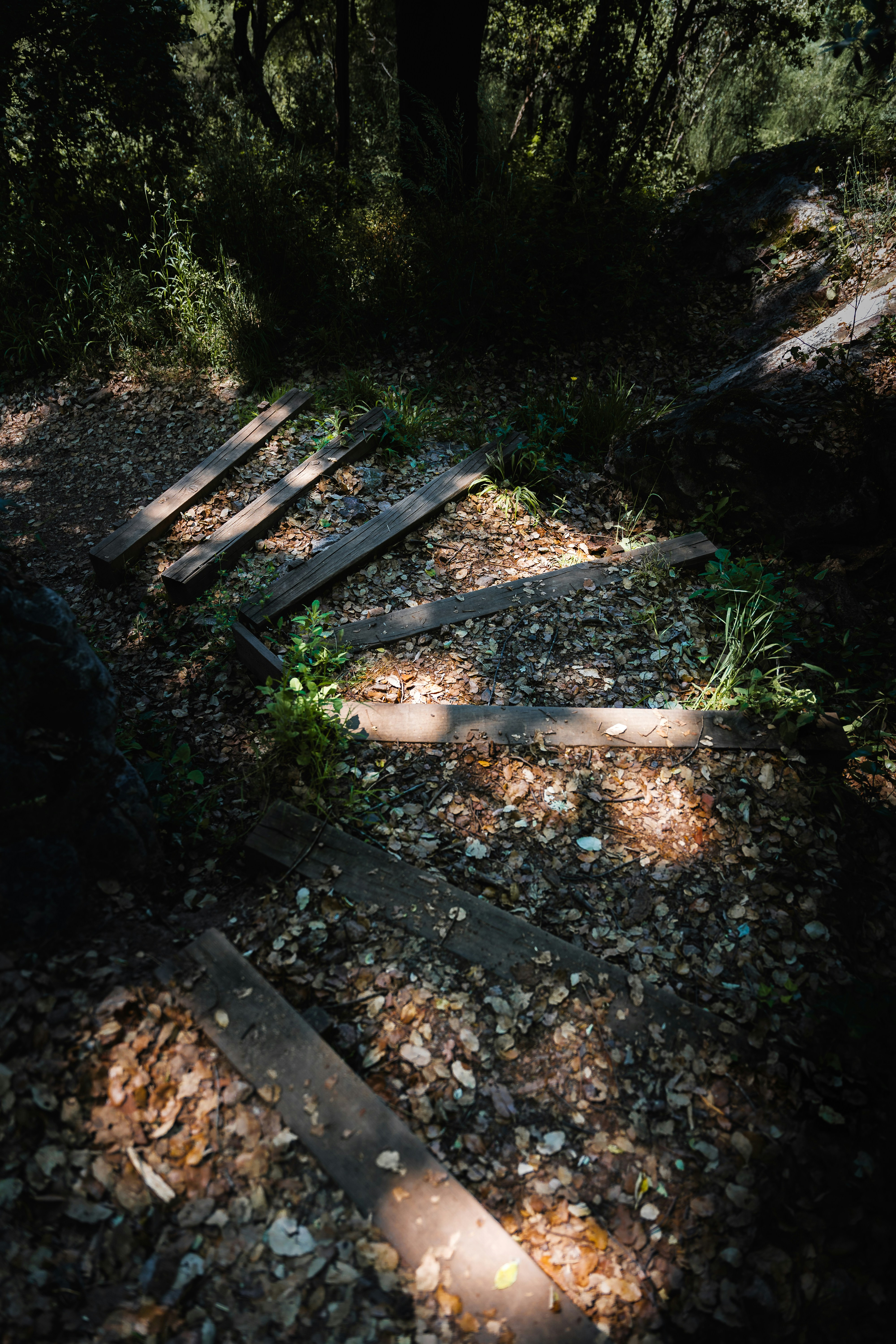 Photo by tiago_f_ferreira