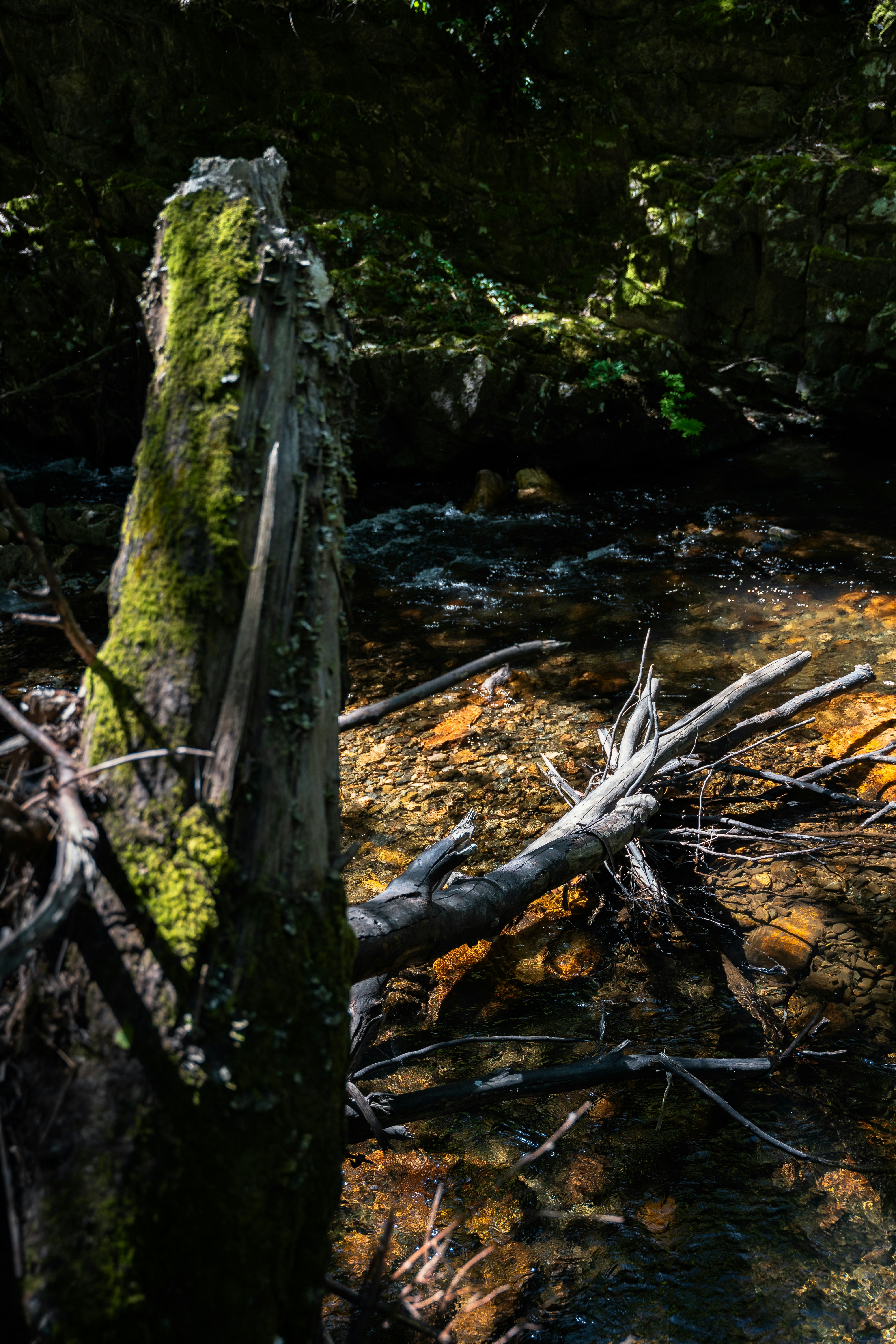 Photo by tiago_f_ferreira