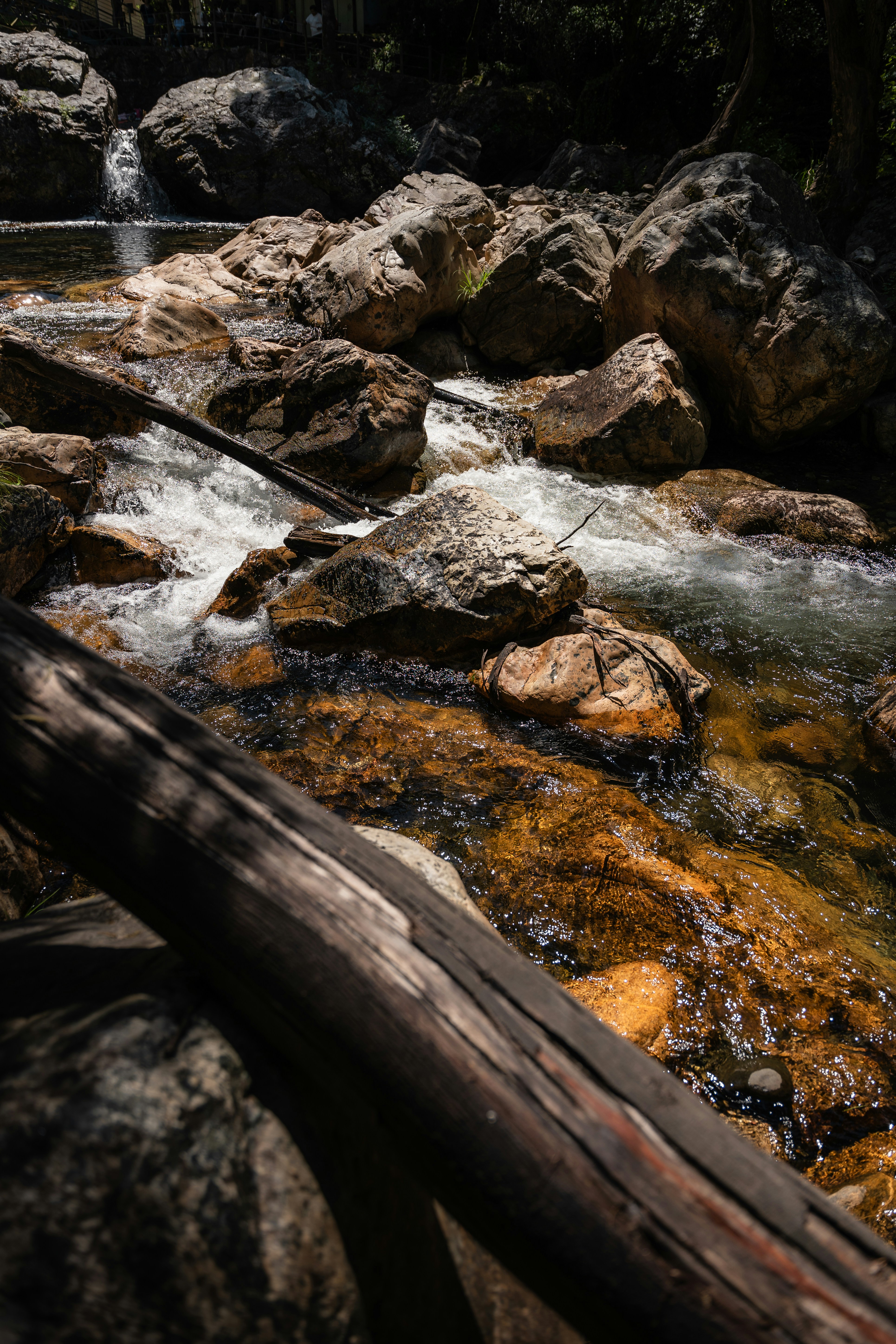 Photo by tiago_f_ferreira