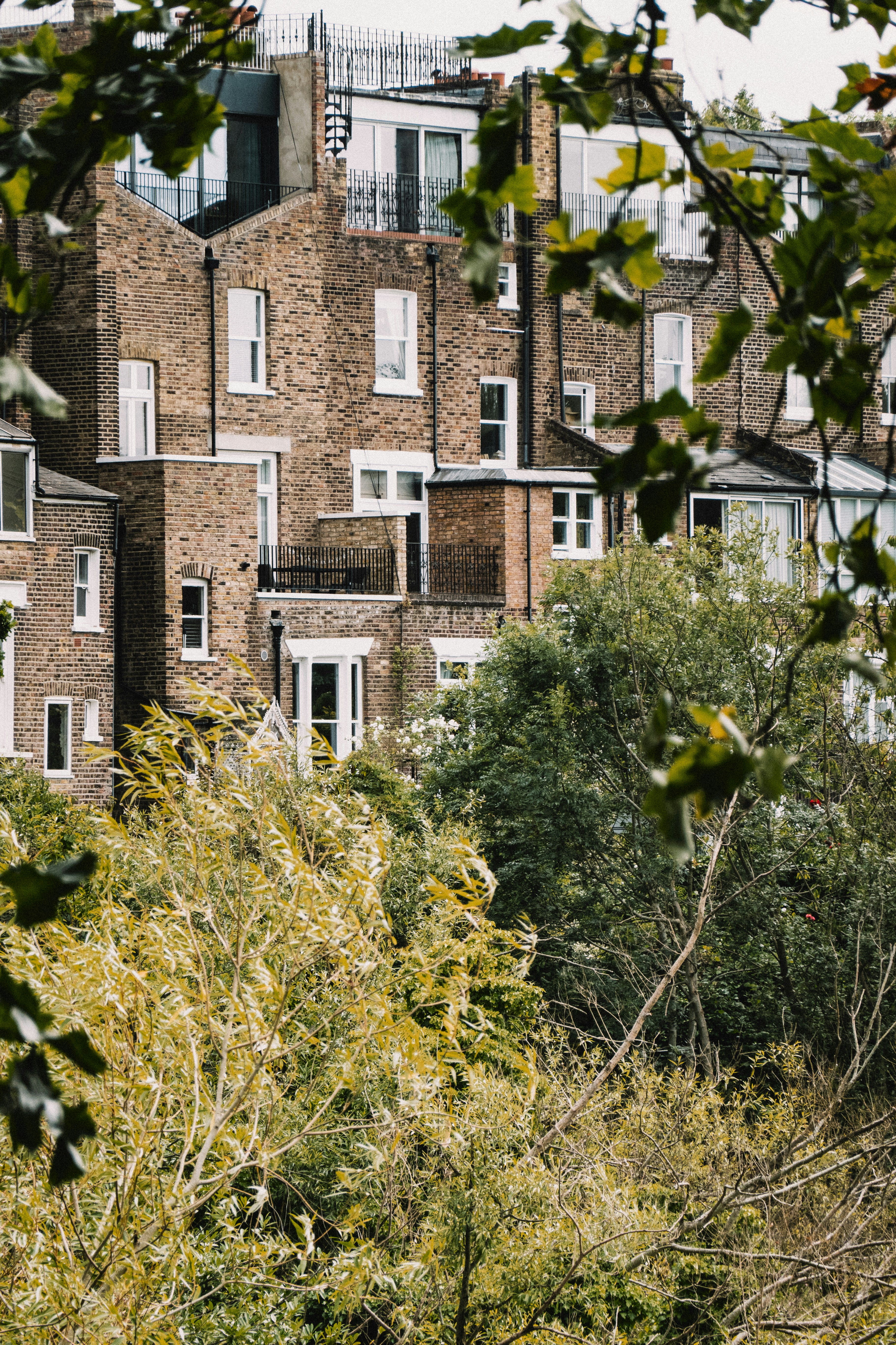 Photo by reganography