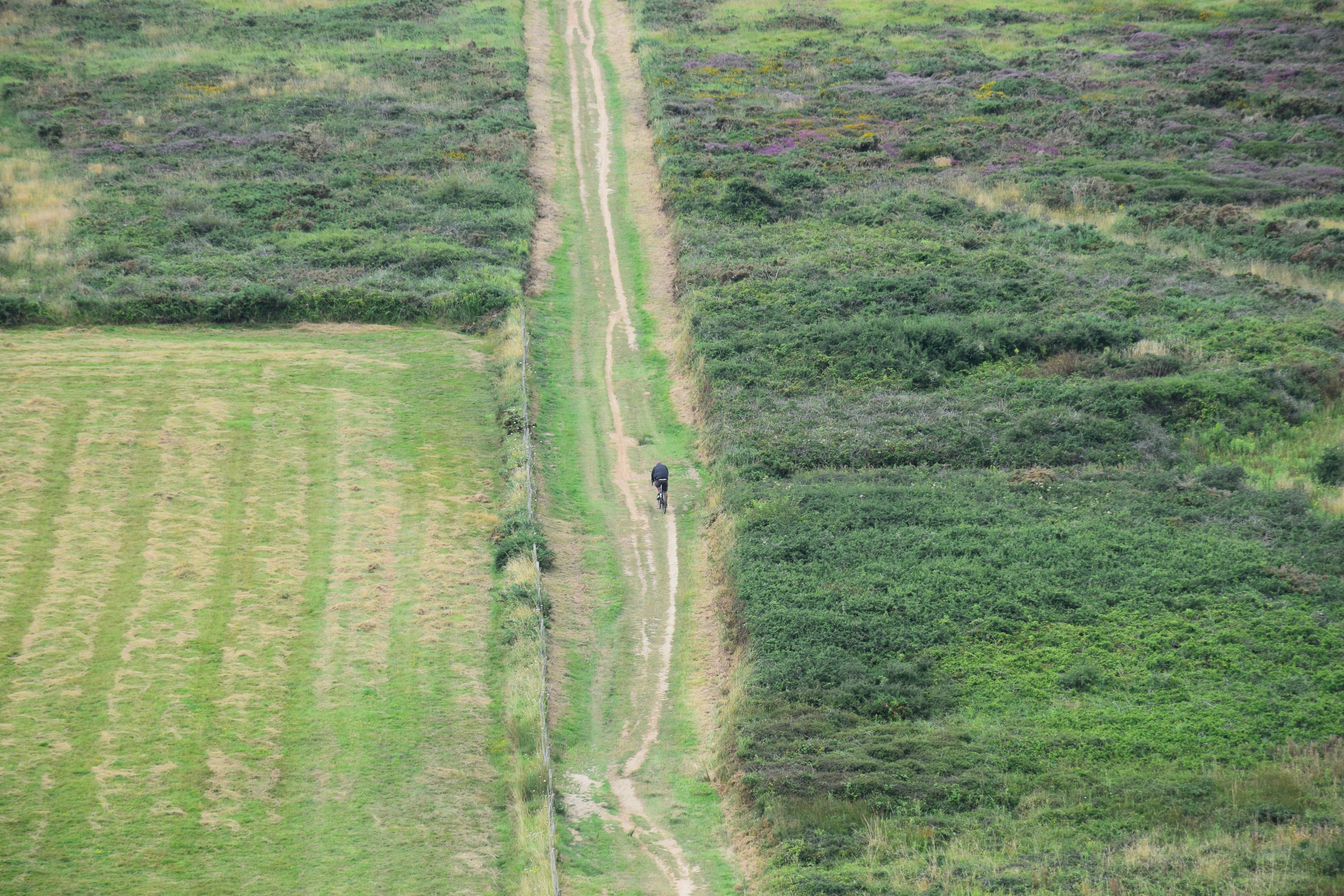 Une vue aérienne d’une route dans un champ
