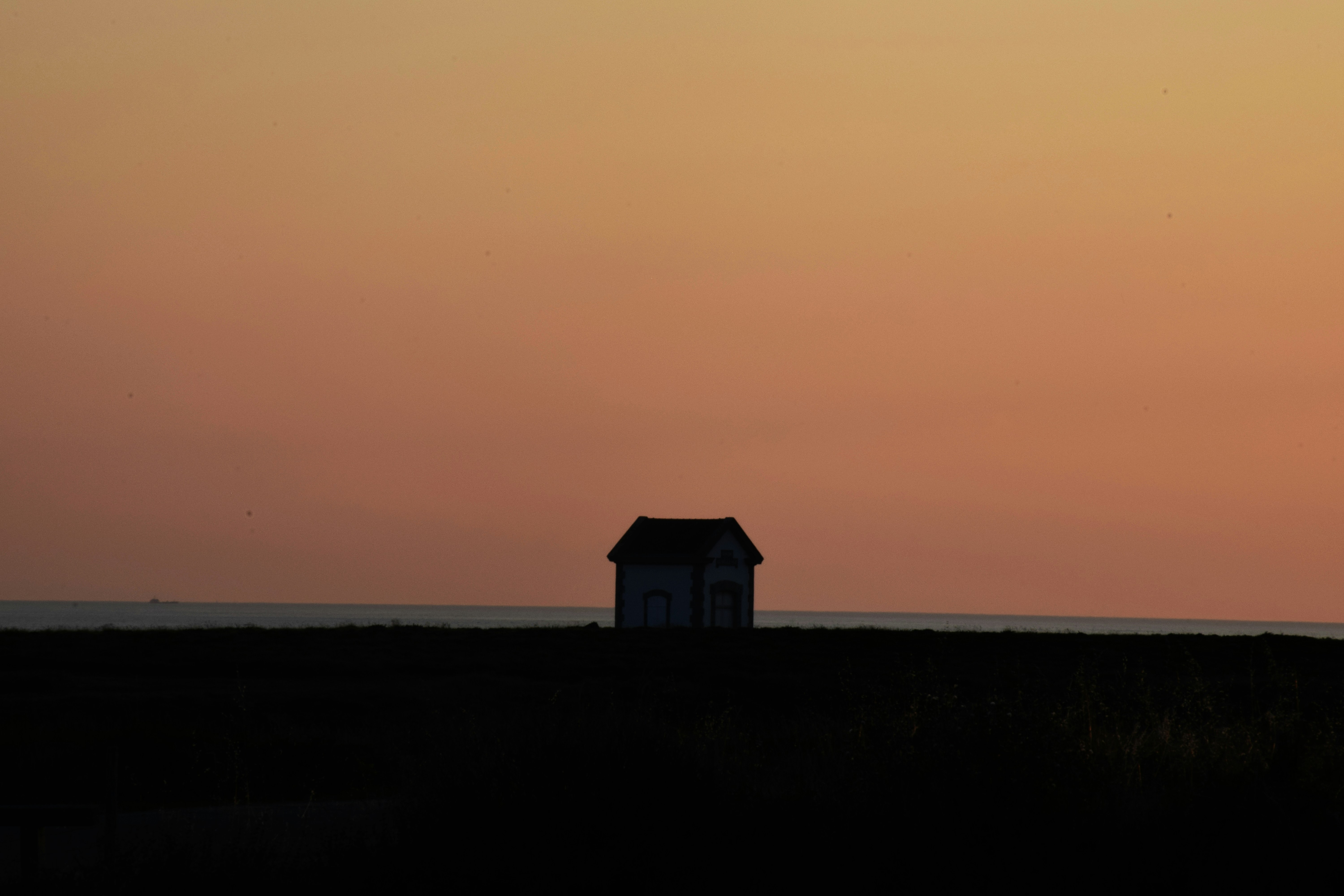 Photo by 1dlaiker