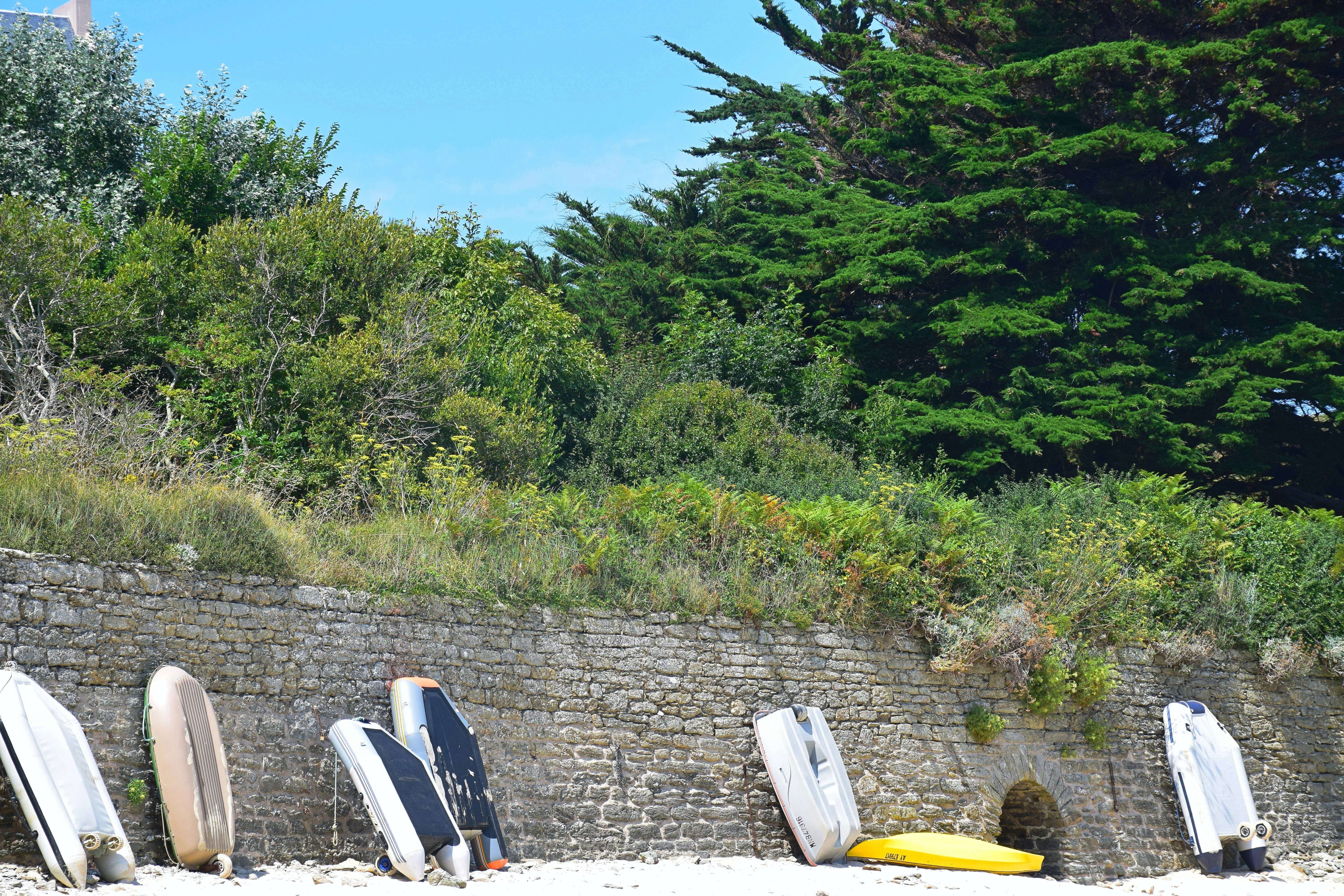 A row of surfboards leaning against a stone wall photo – Free Car Image ...