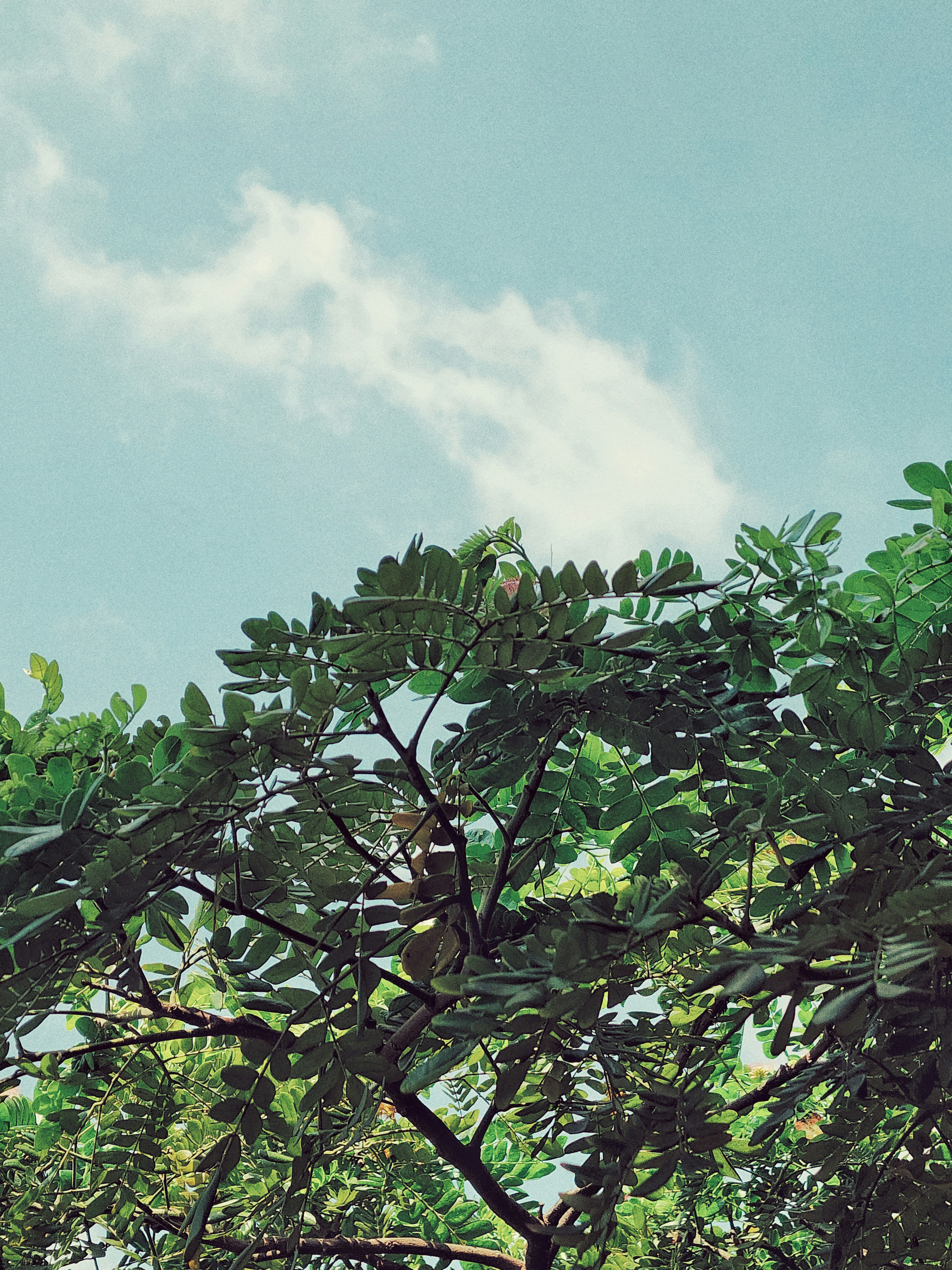 Photo by bhargav_1228