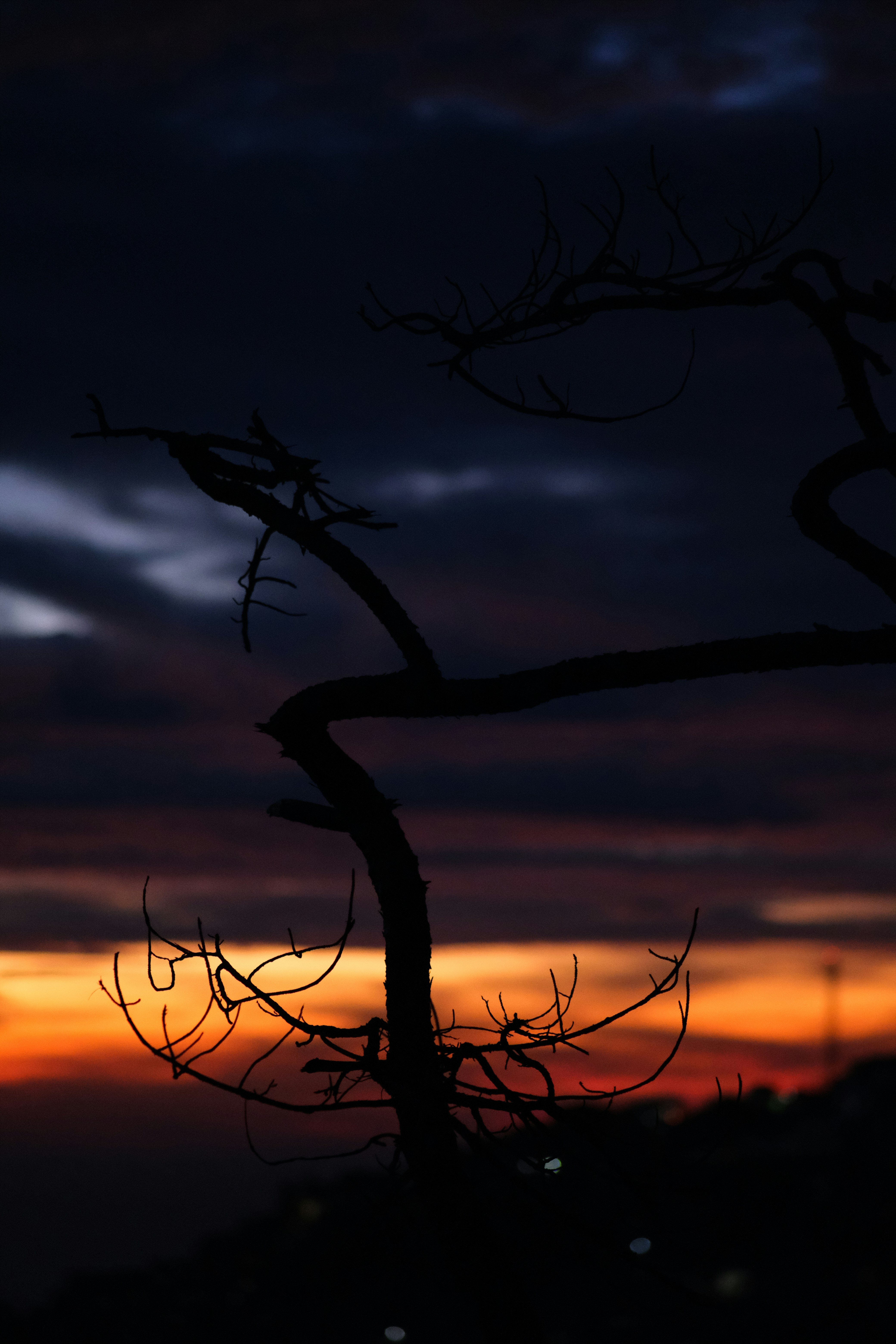 Photo by paygedayle16