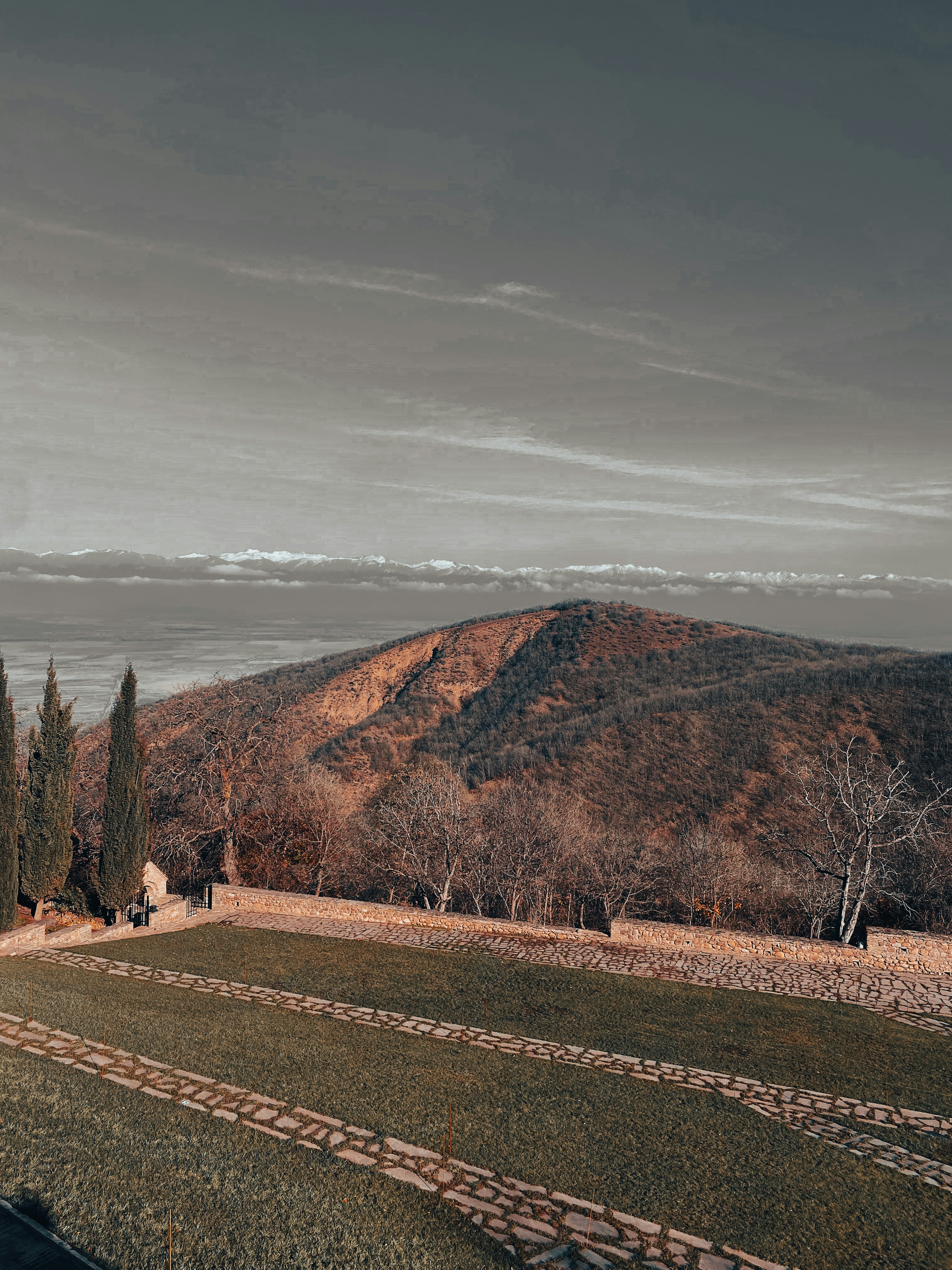 Evening Wine Culture and Atmospheric Dining