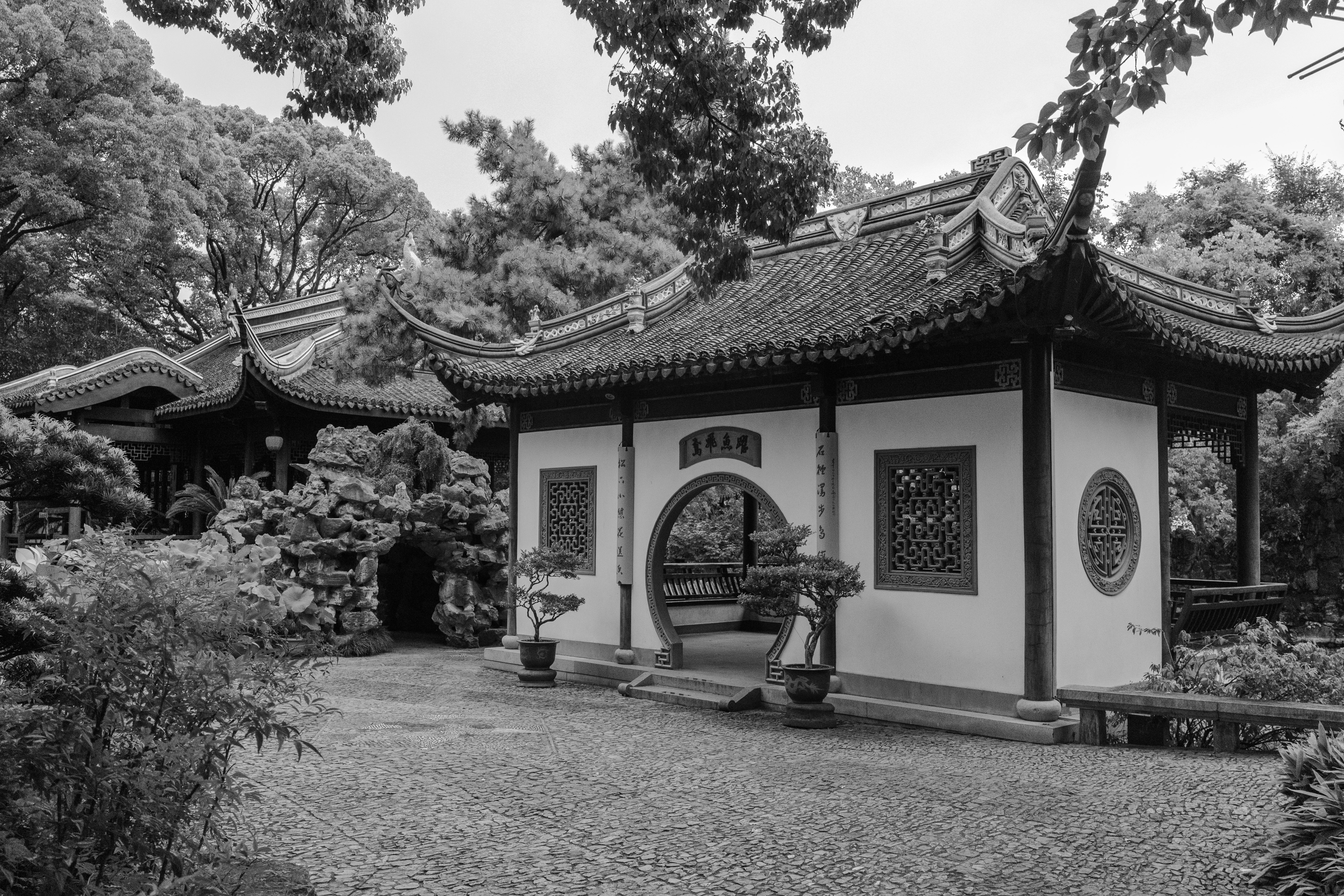 Photo by runningchild