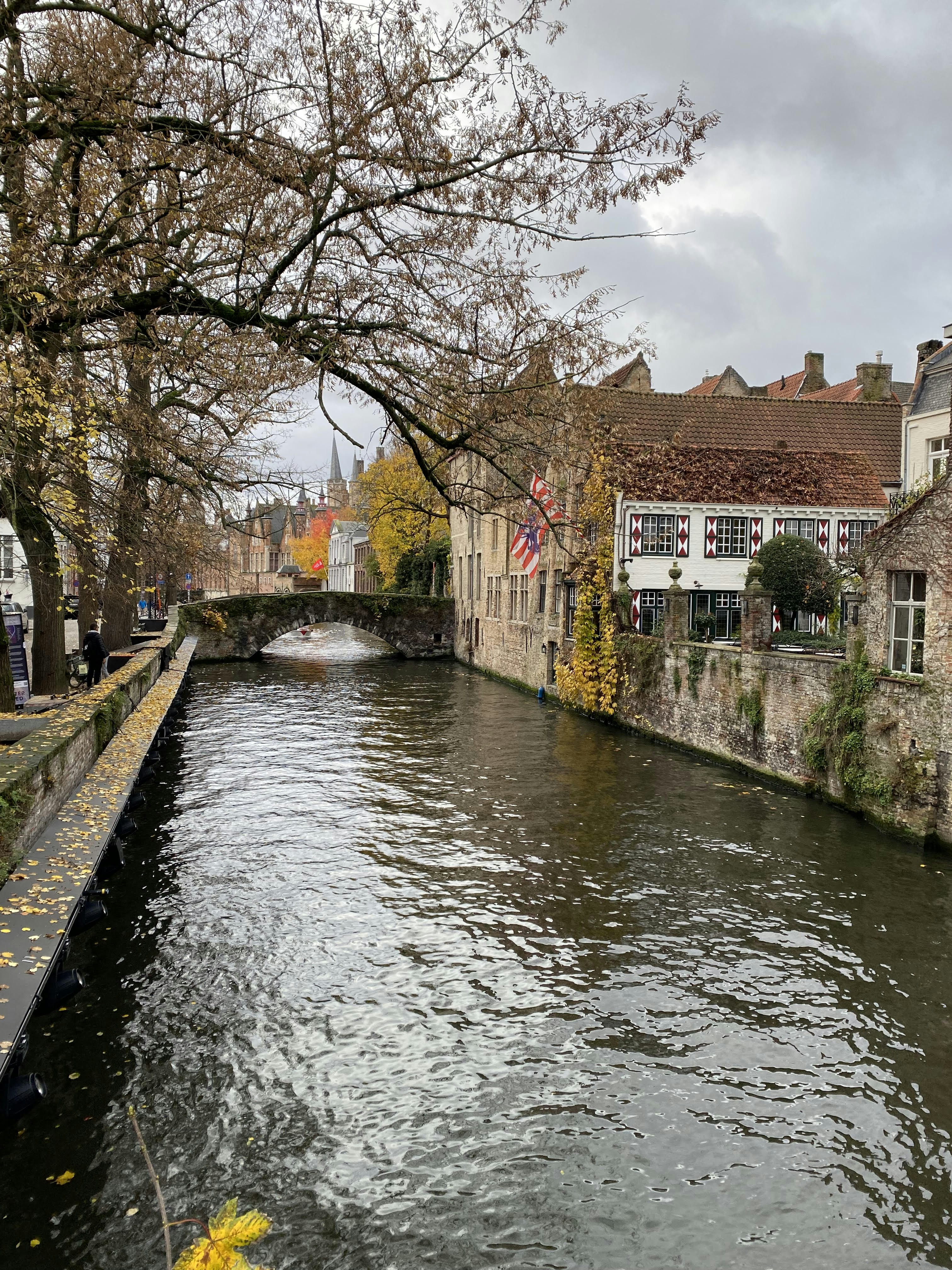 Photo by dplibrarian