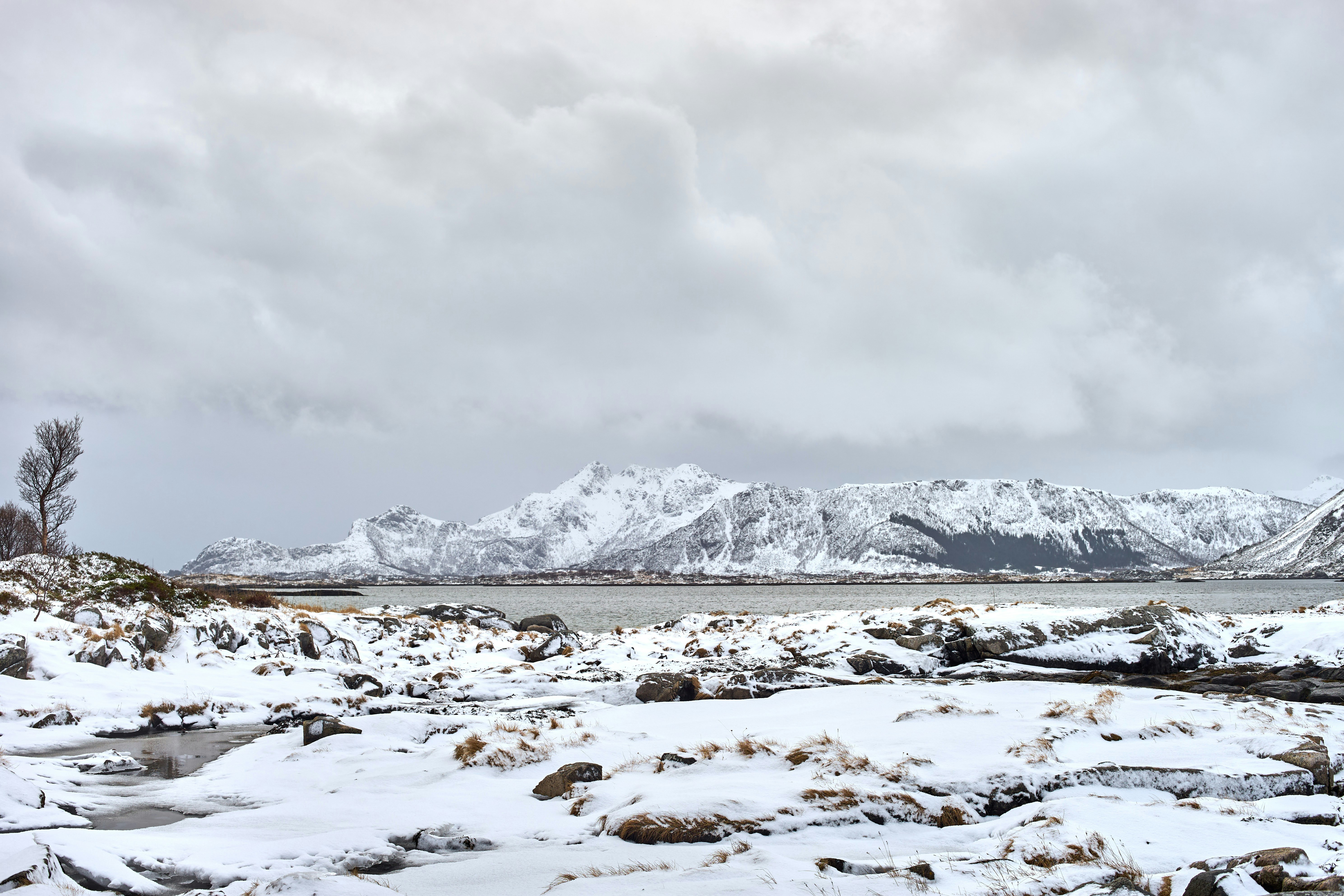 Photo by wolfgang_hasselmann