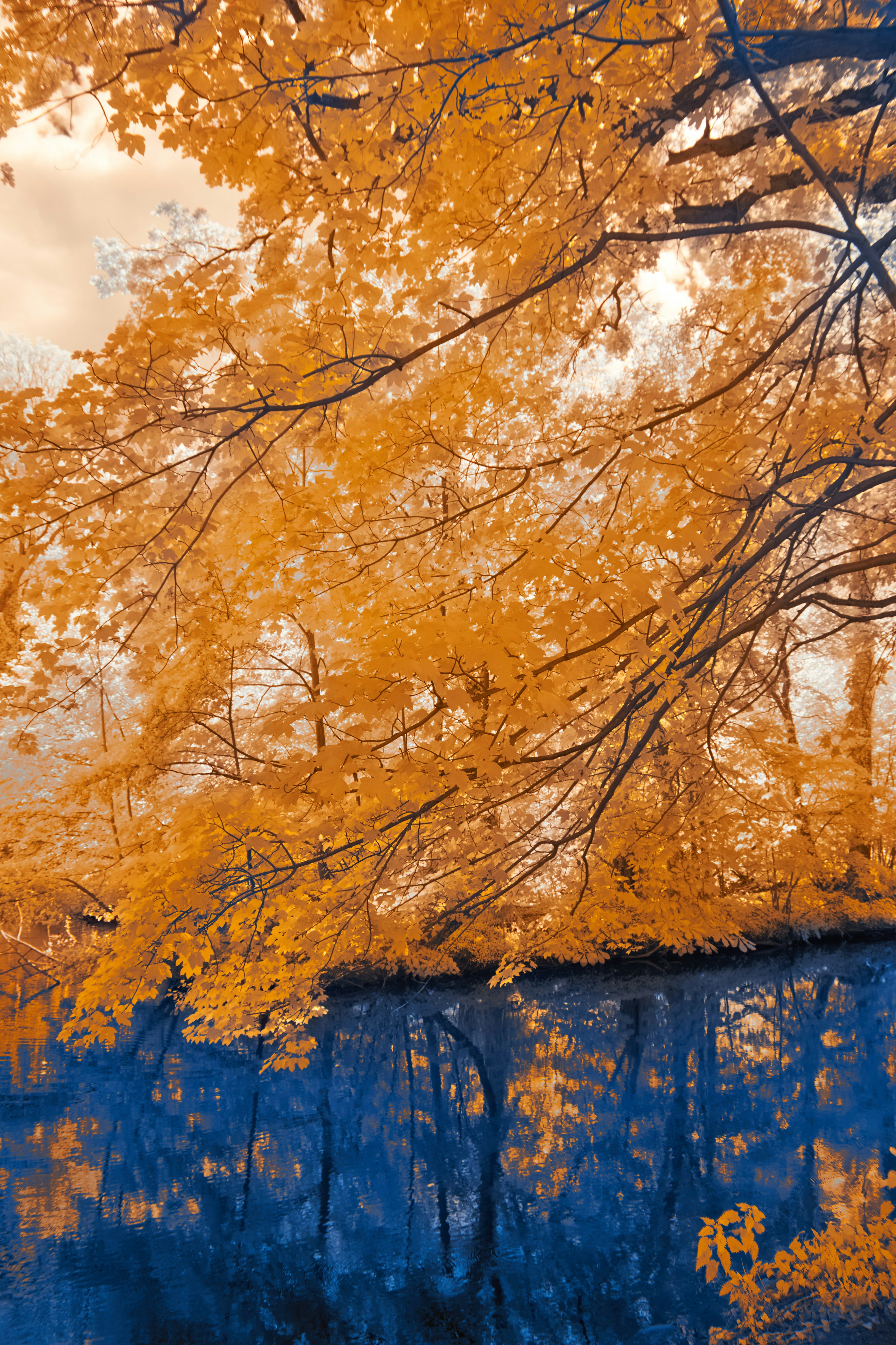 Photo by wolfgang_hasselmann