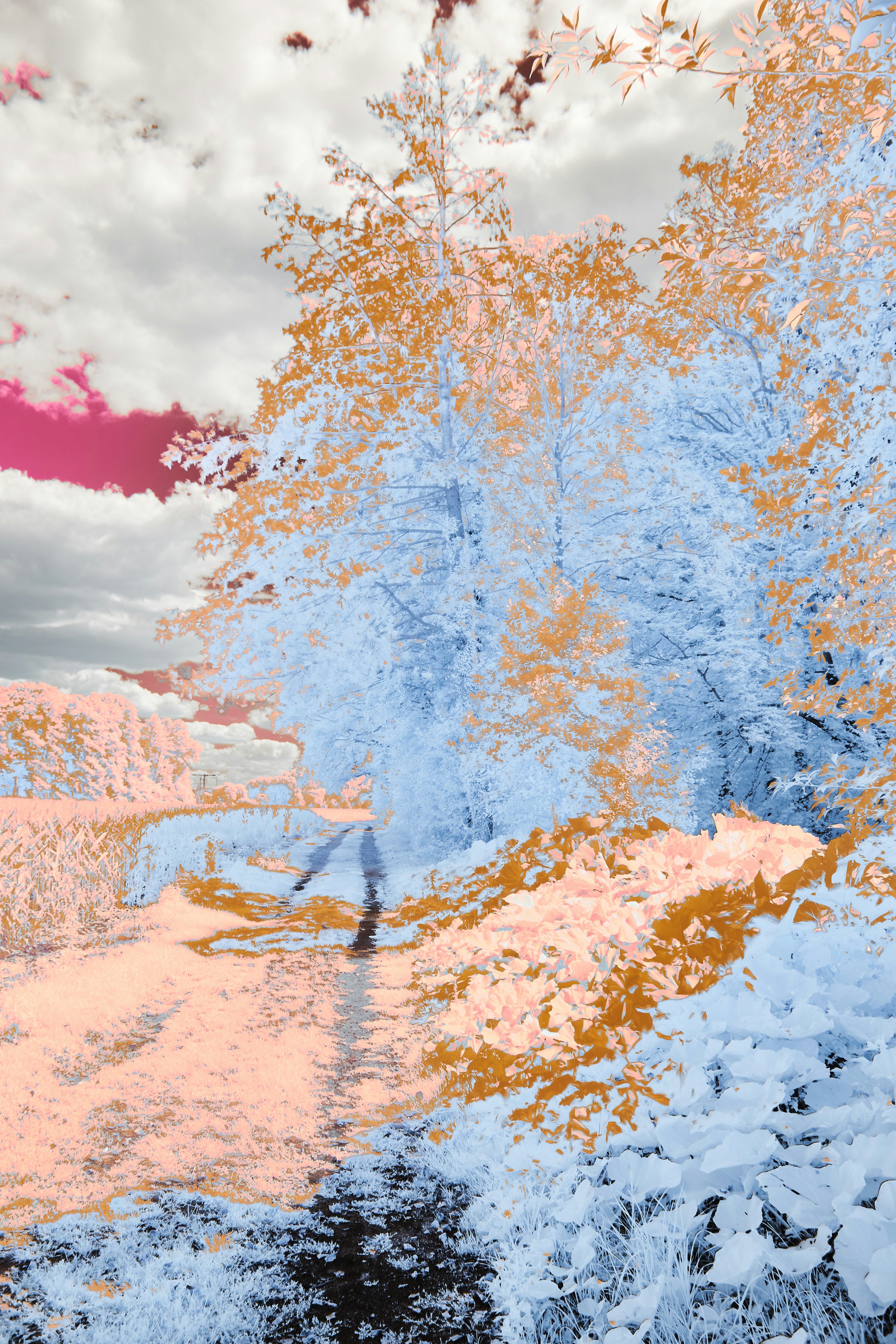 Photo by wolfgang_hasselmann