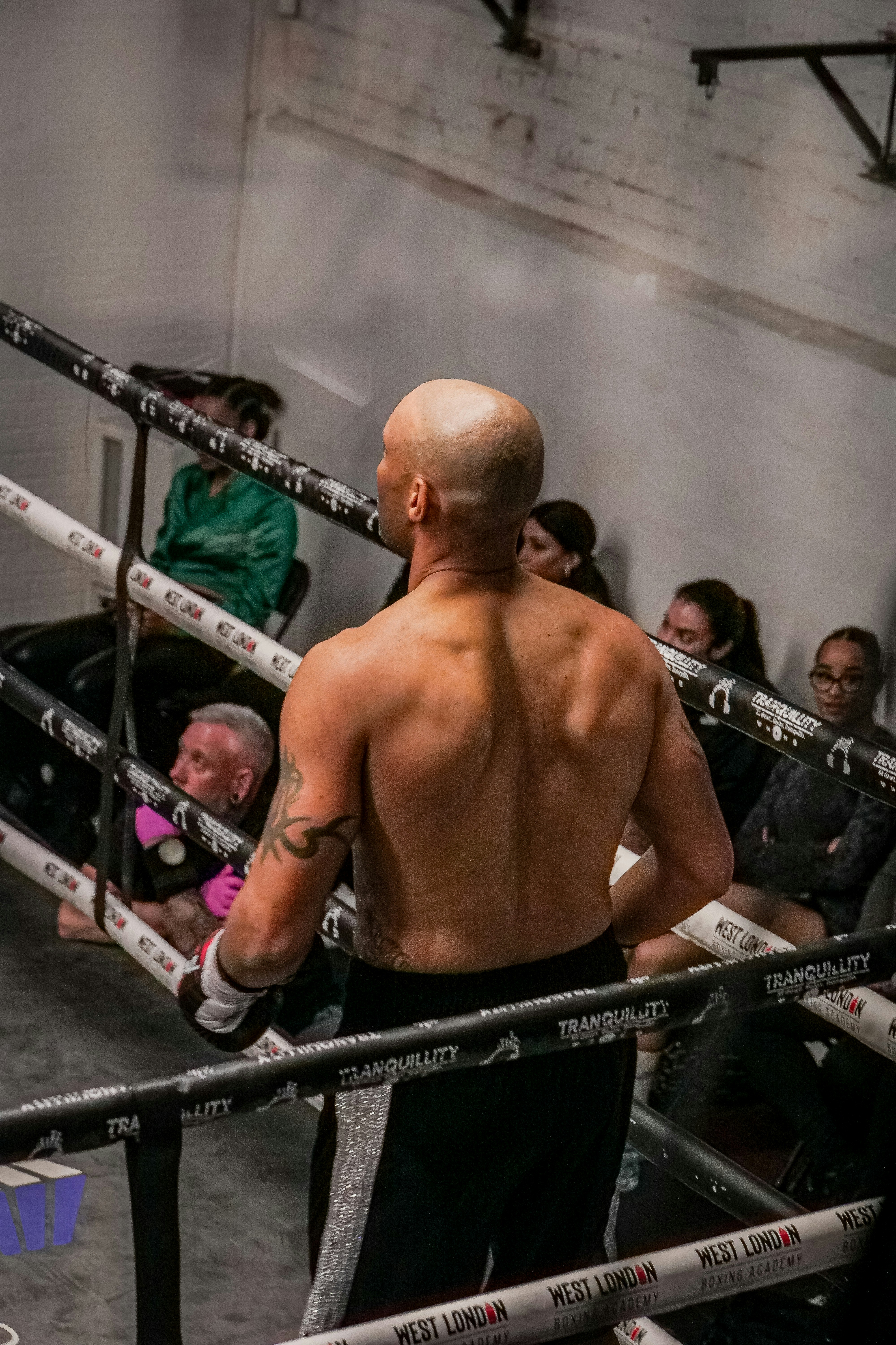 A man with no shirt standing in a boxing ring photo – Free Man Image on ...