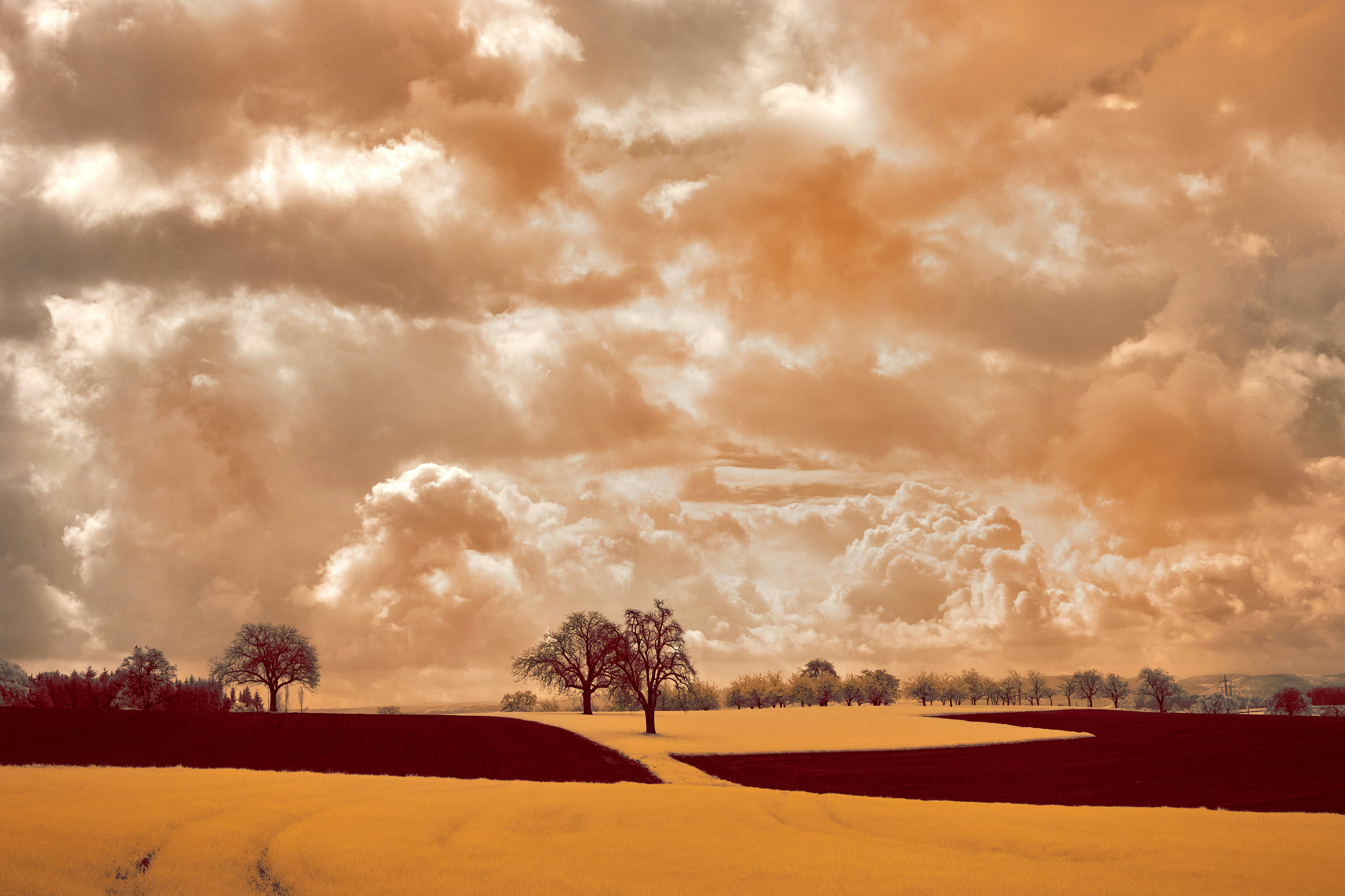Photo by wolfgang_hasselmann