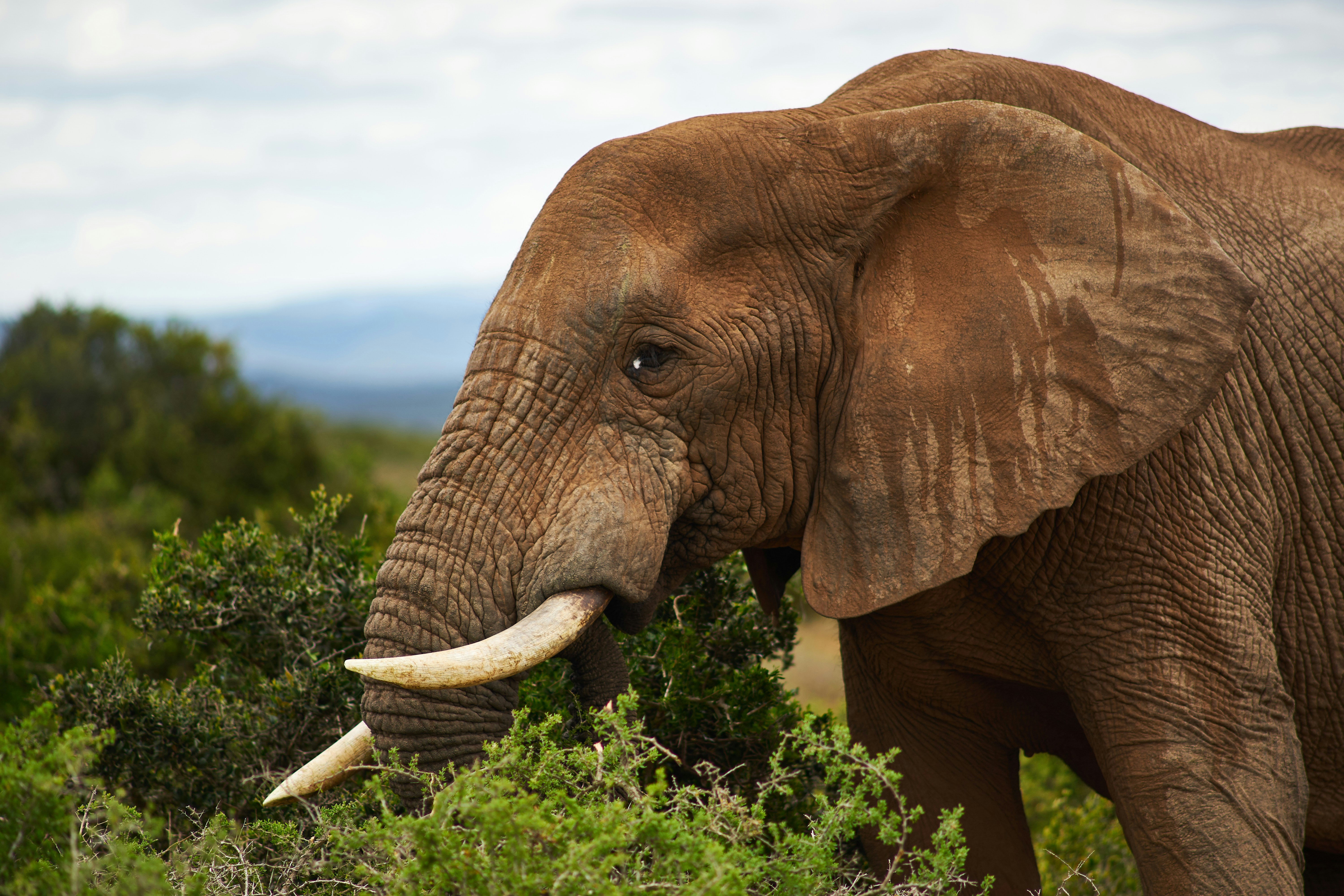 Featured image of post VibeVoice