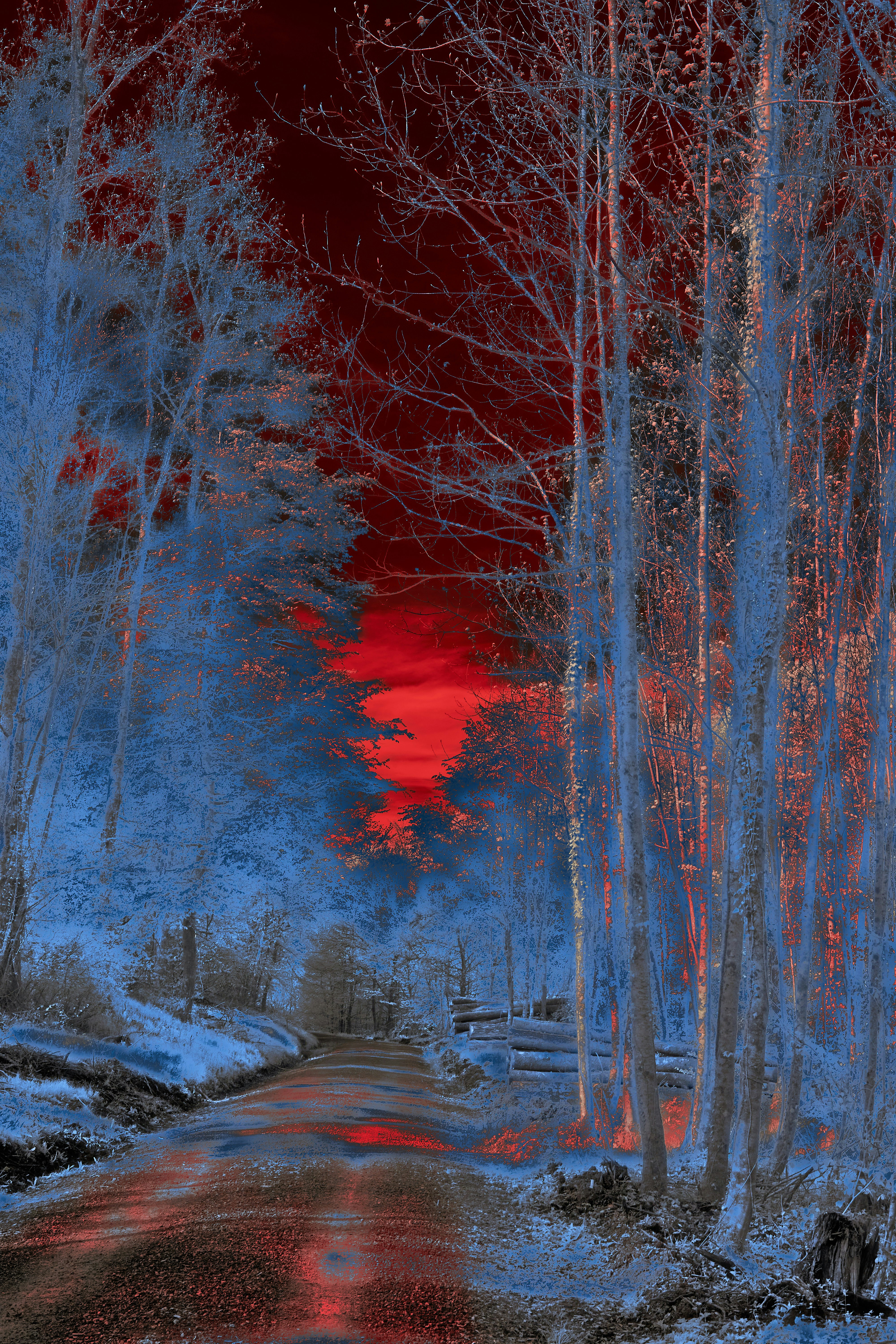 Photo by wolfgang_hasselmann