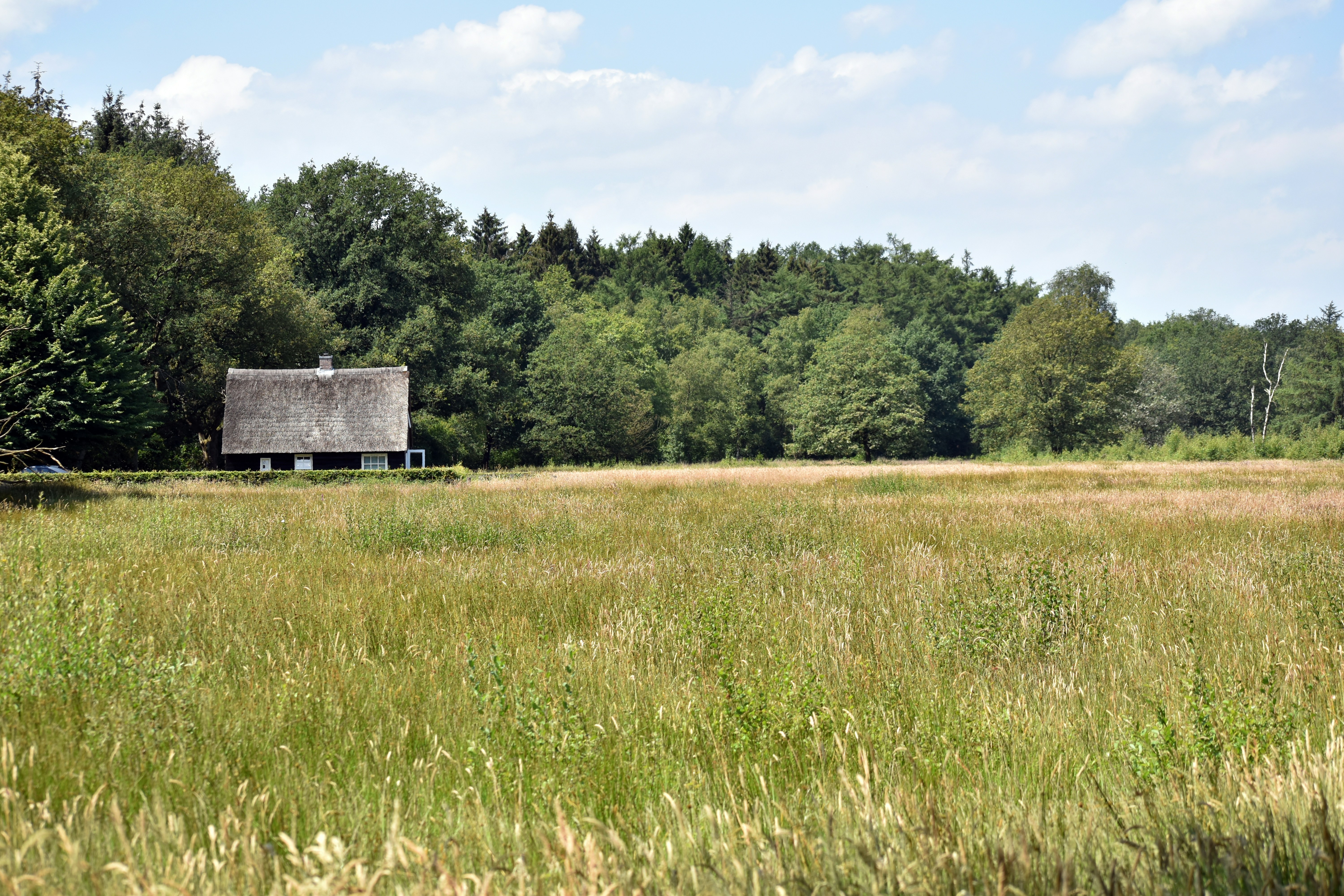 A field with a house in the distance