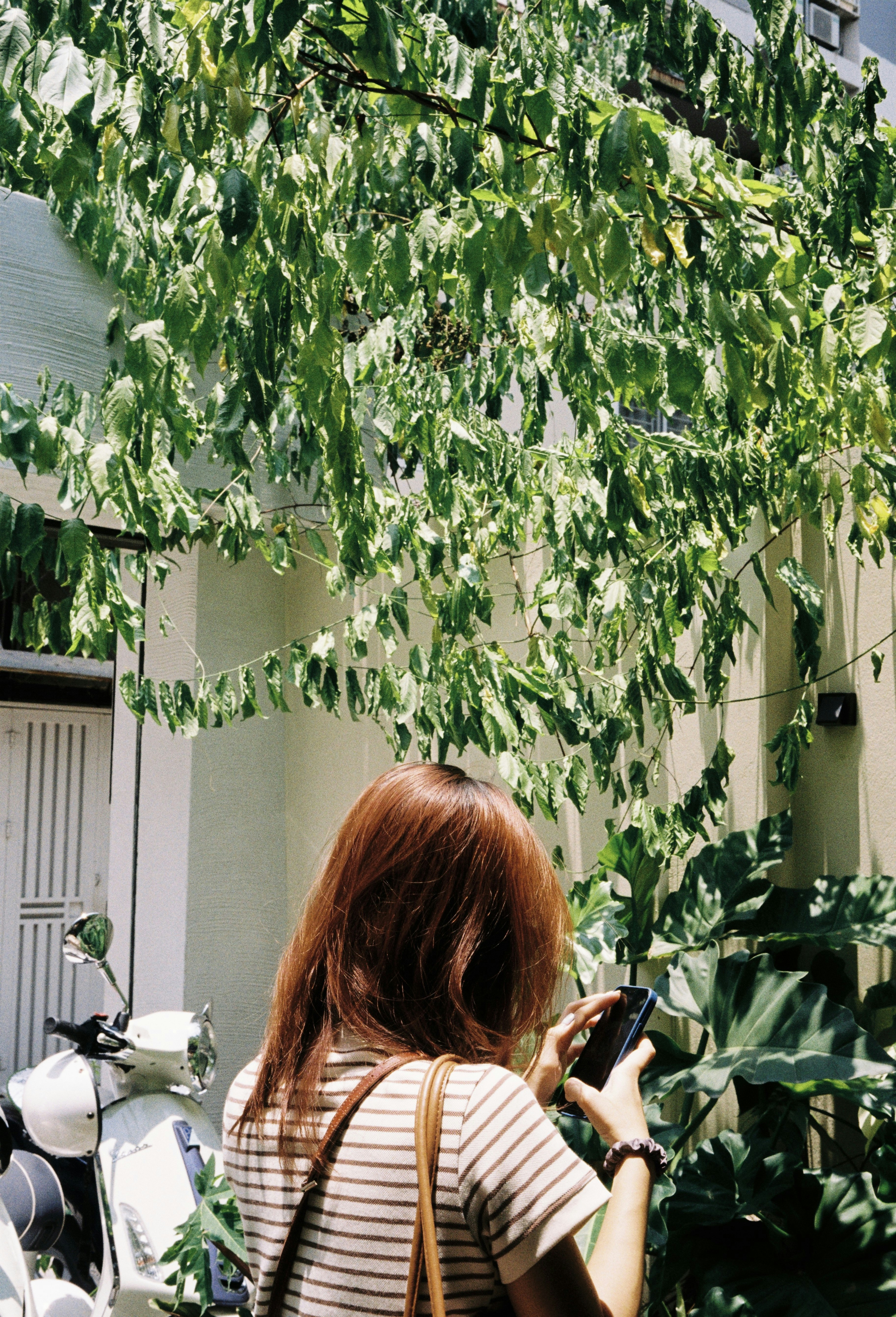 Photo by donguyenkhanhs