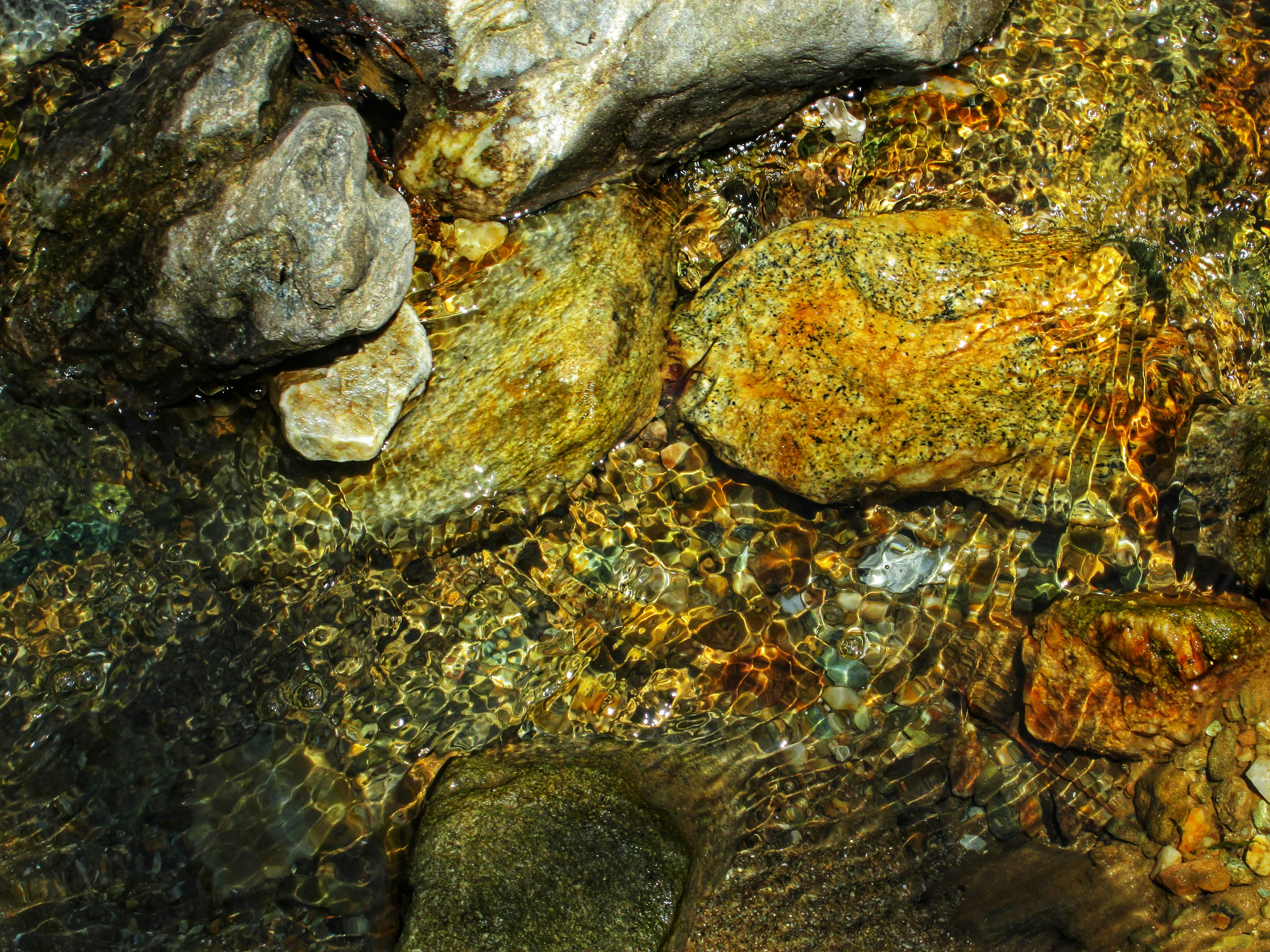 Photo by rishabh_tripathi