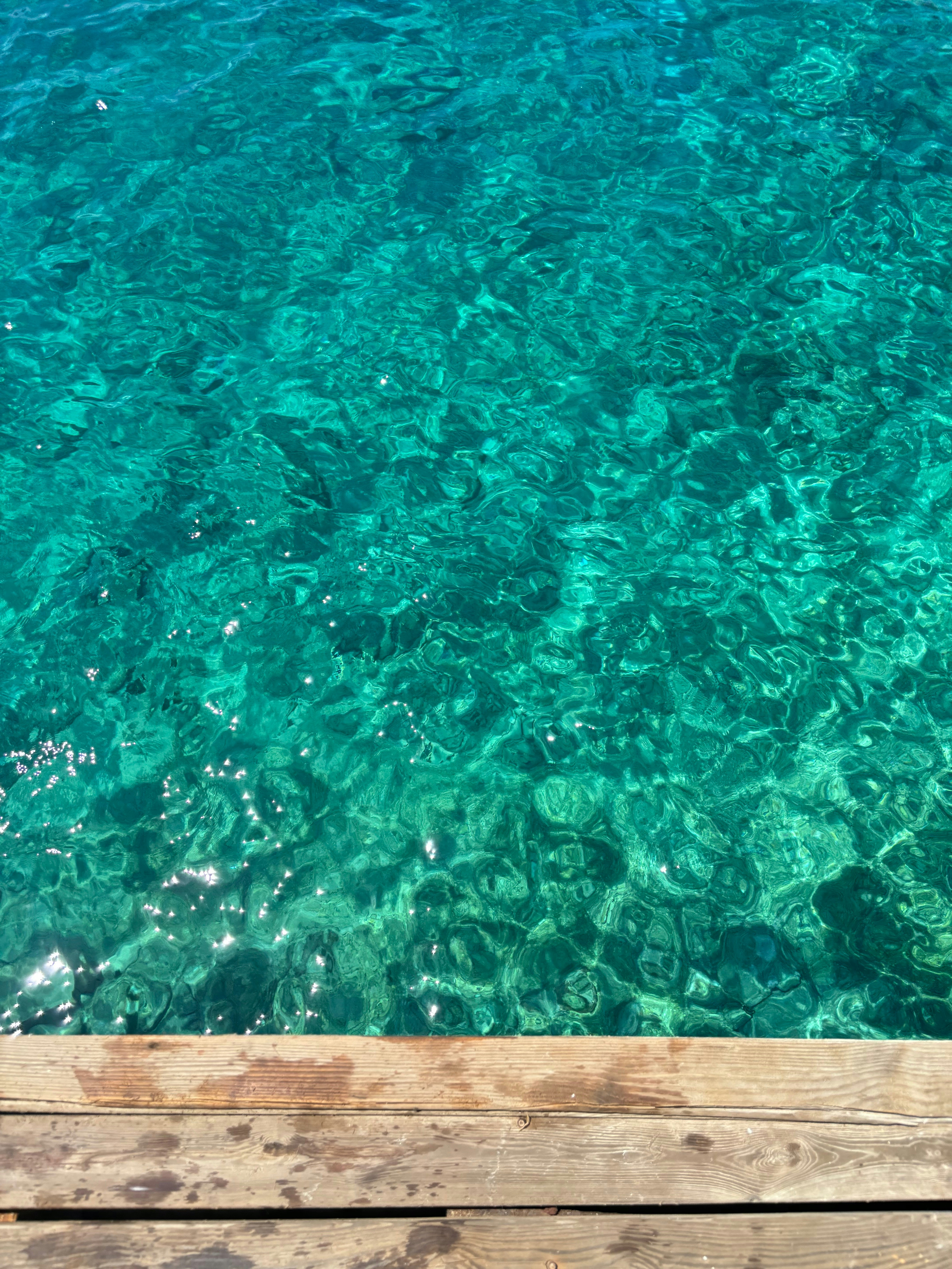 Photo by katebattrick